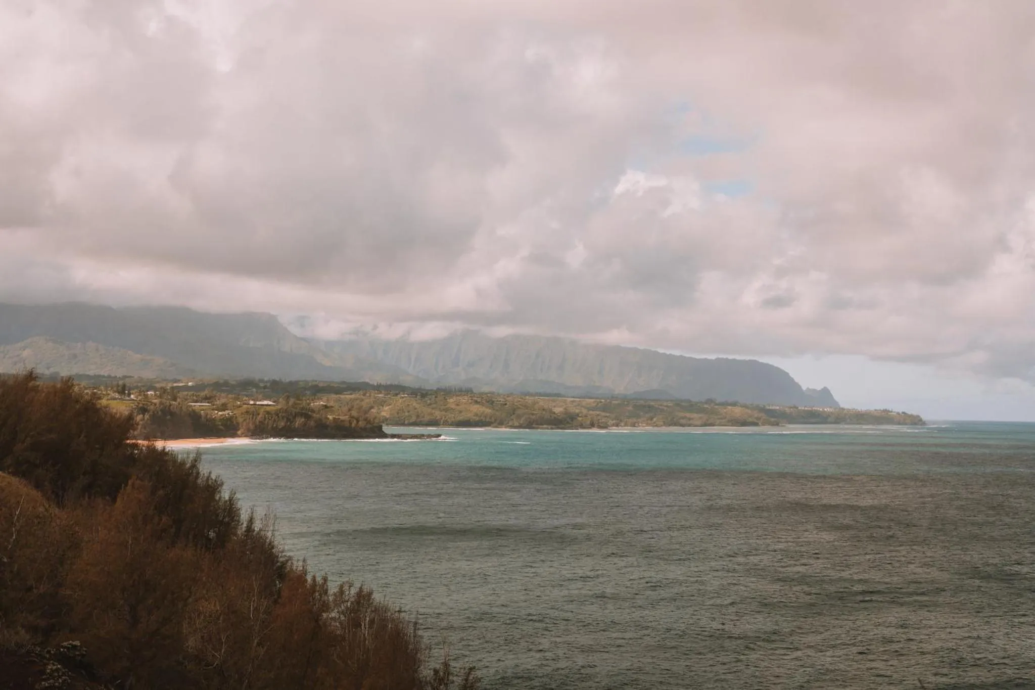 Area and facilities in Plantation Hale Suites