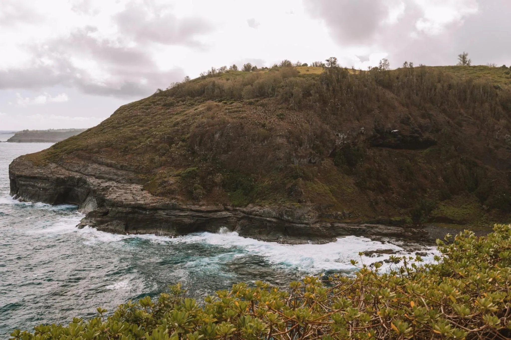 Area and facilities in Plantation Hale Suites