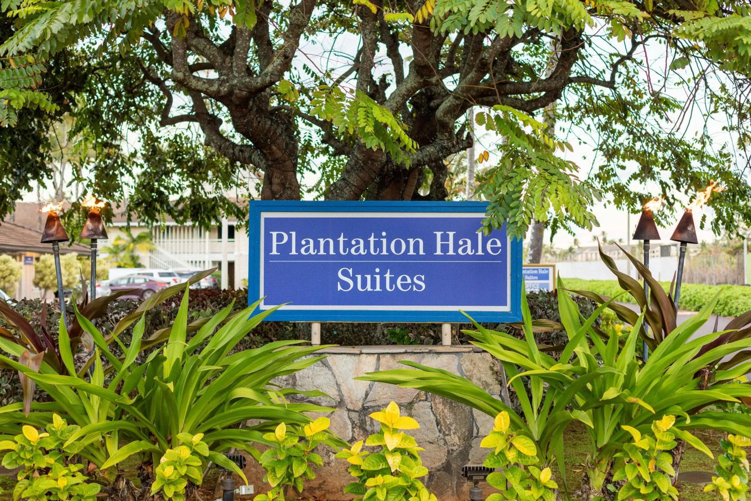 Property building in Plantation Hale Suites