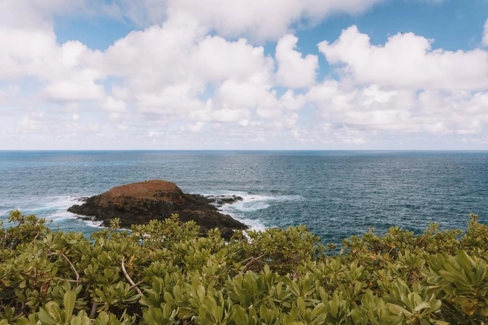 Area and facilities in Plantation Hale Suites