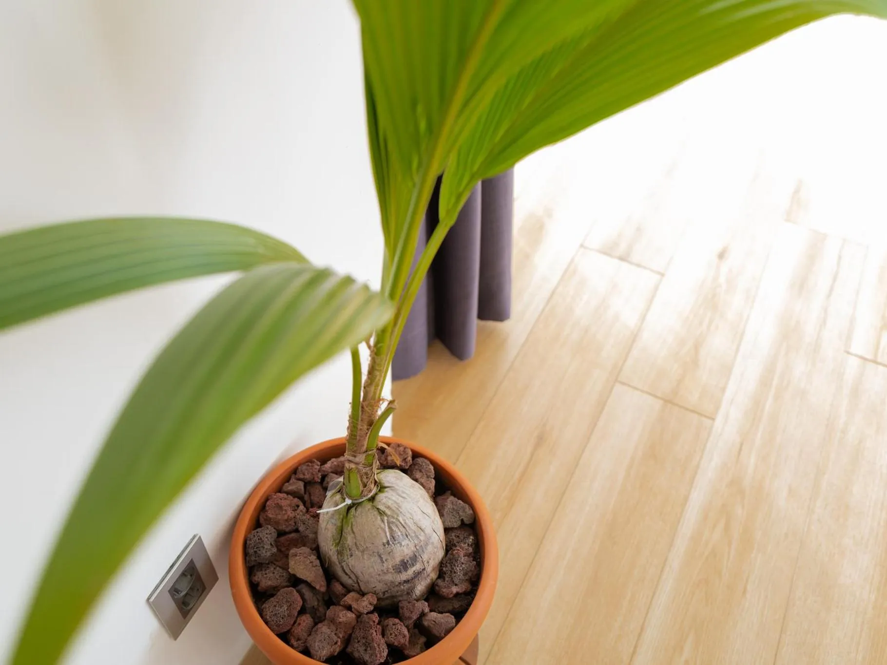 Area and facilities in Boutique Pool Villa NAMIB