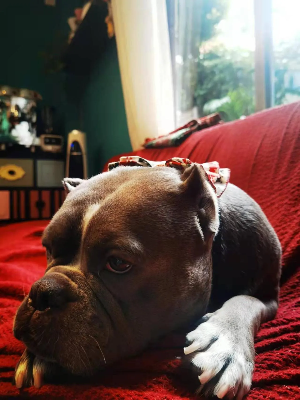 Animals in Summer Tree Inn