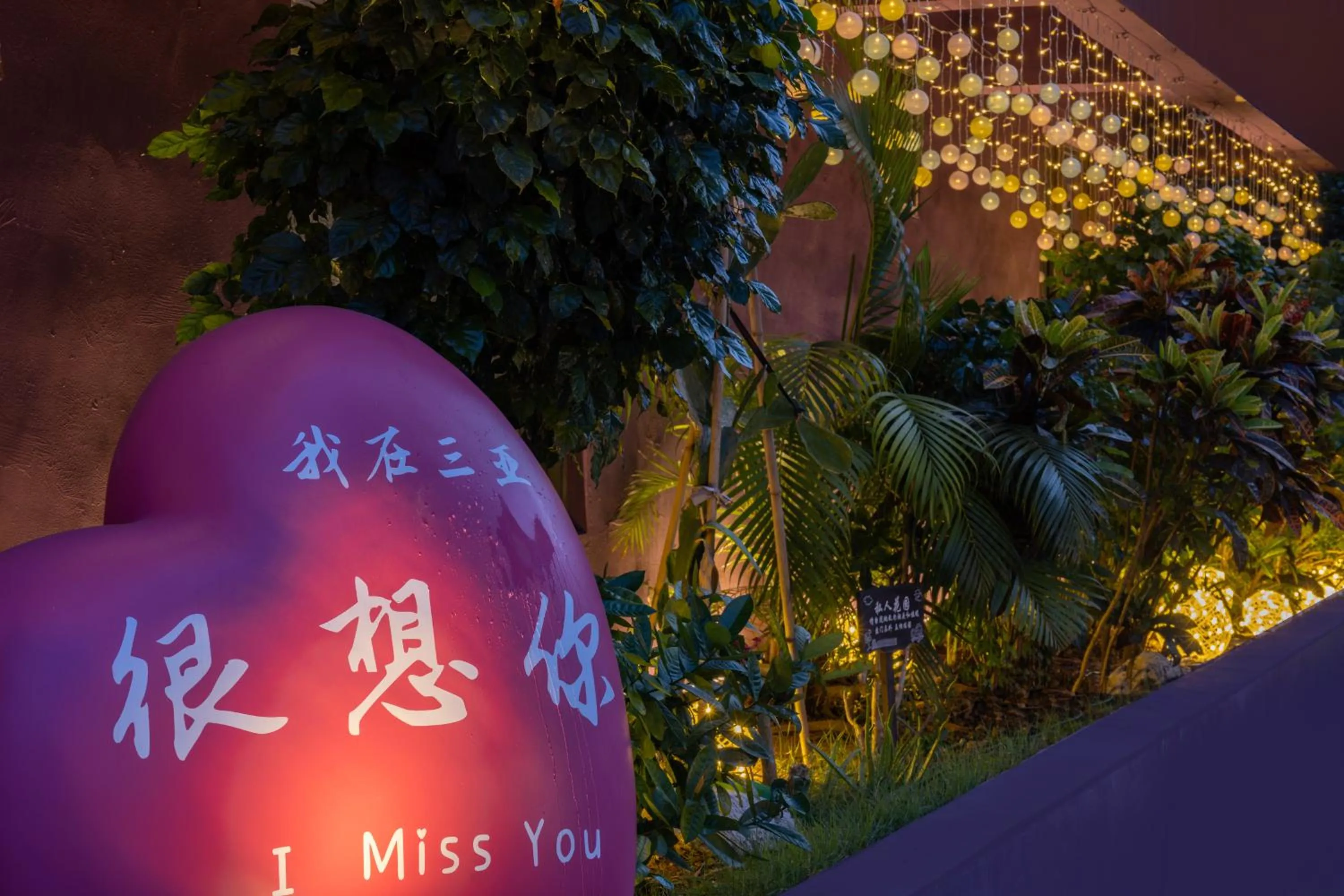 Night in Summer Tree Inn