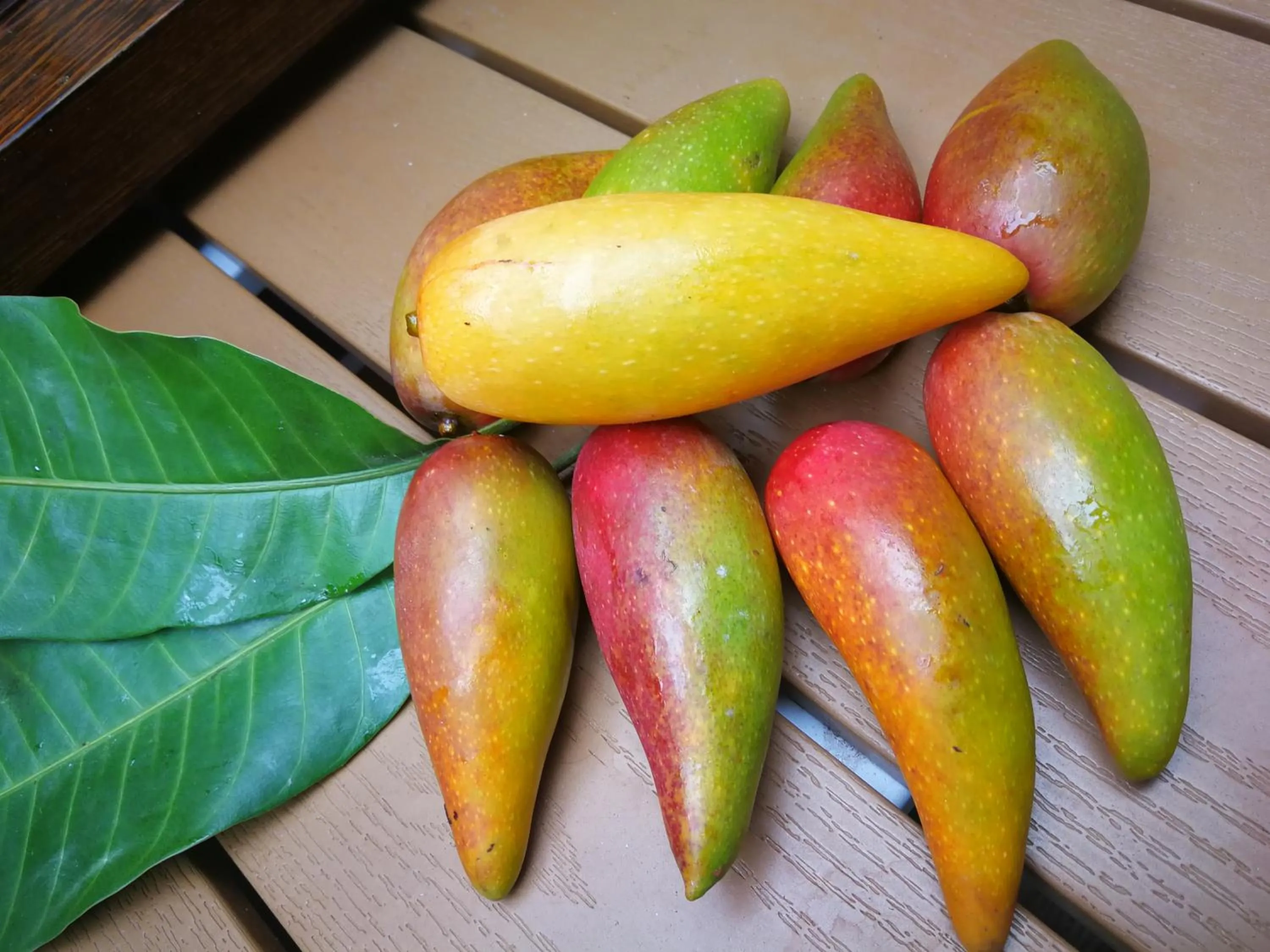 Food and drinks in Summer Tree Inn