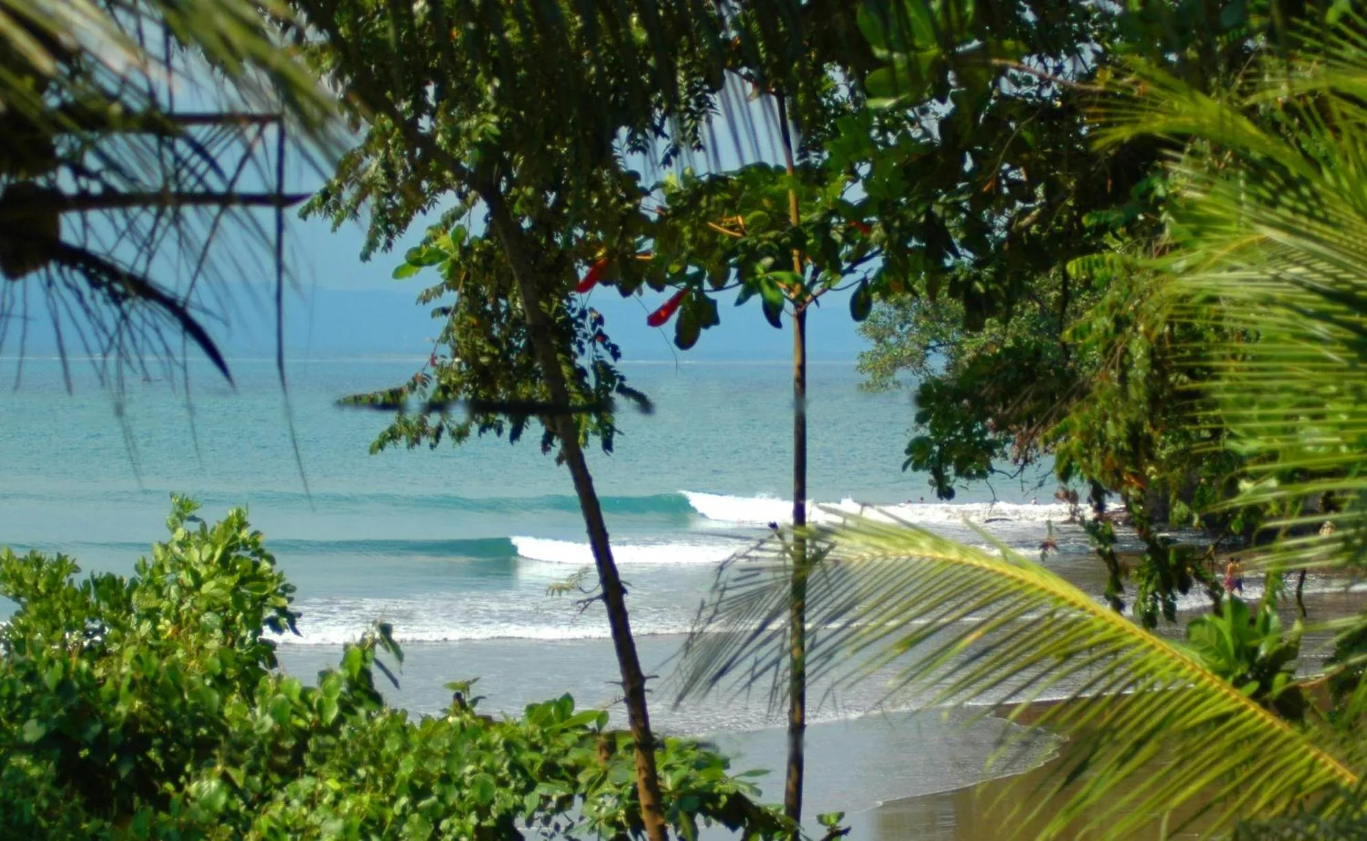 Beach in JavaCove Beach Hotel