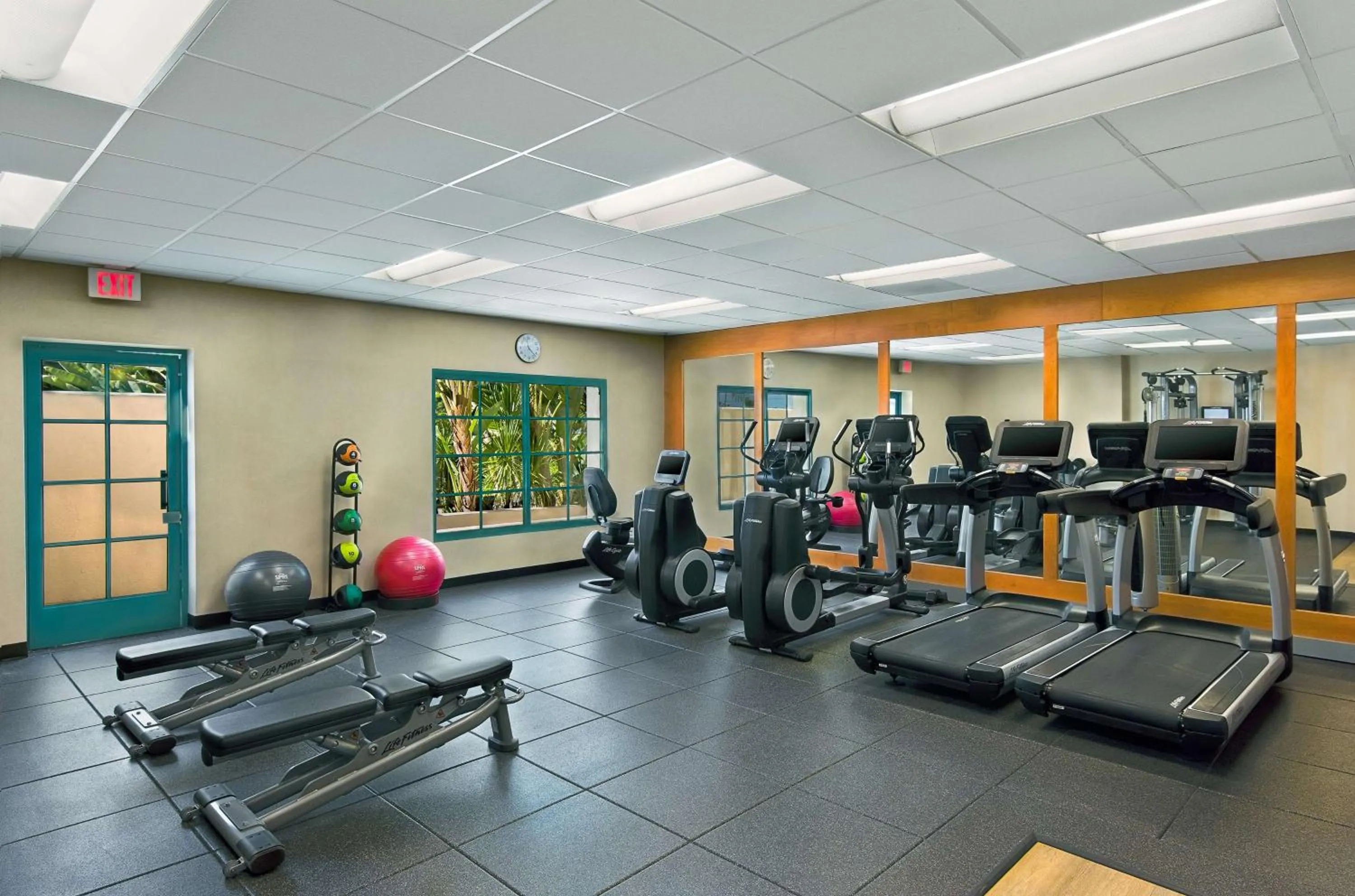 Fitness centre/facilities in DoubleTree by Hilton San Pedro
