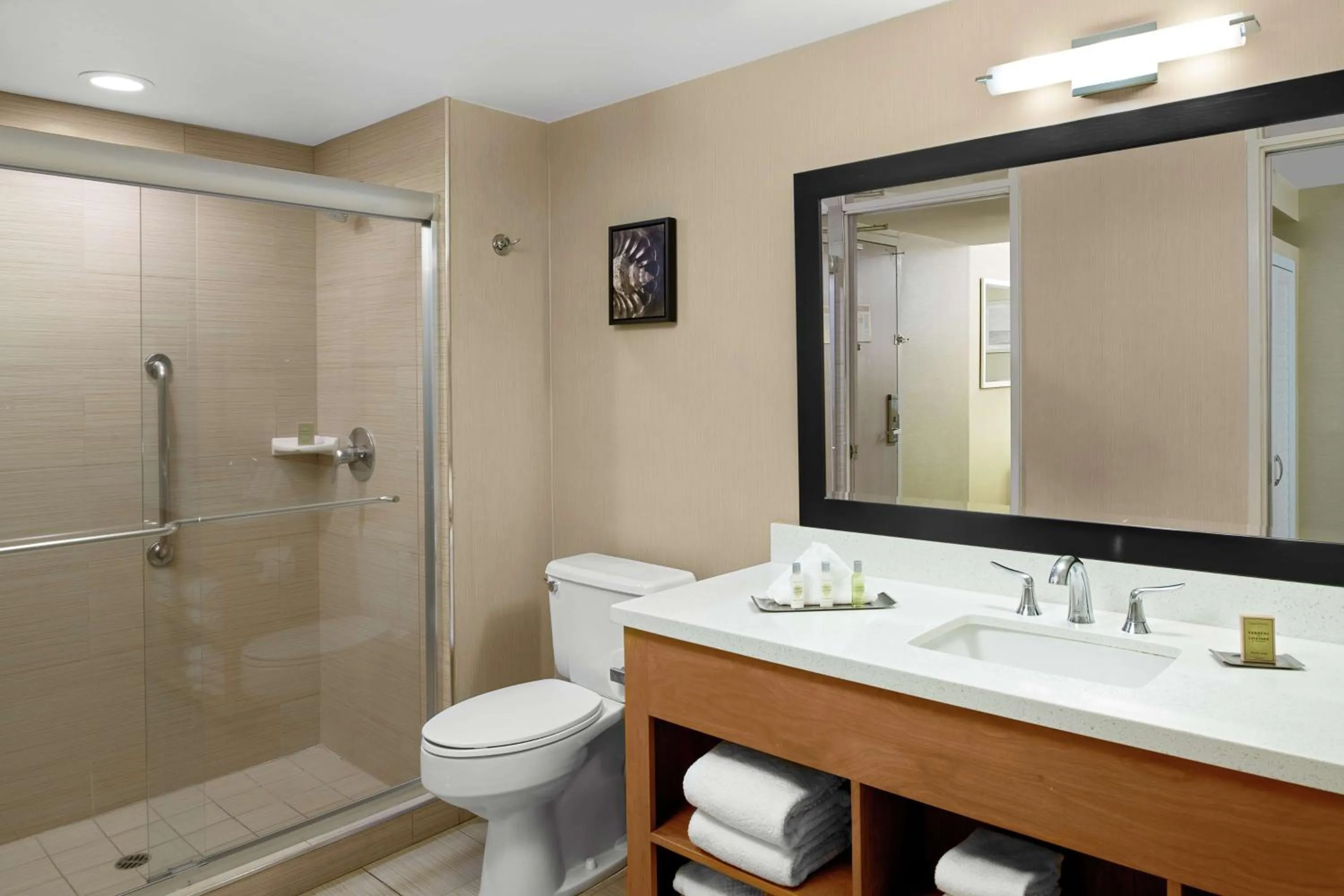 Bathroom in DoubleTree by Hilton San Pedro