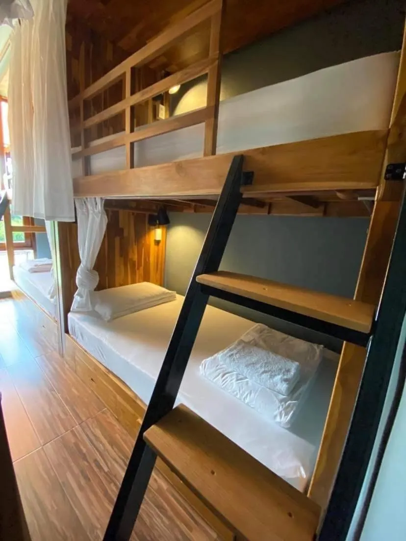 Photo of the whole room, Bed in Bloom Cafe & Hostel