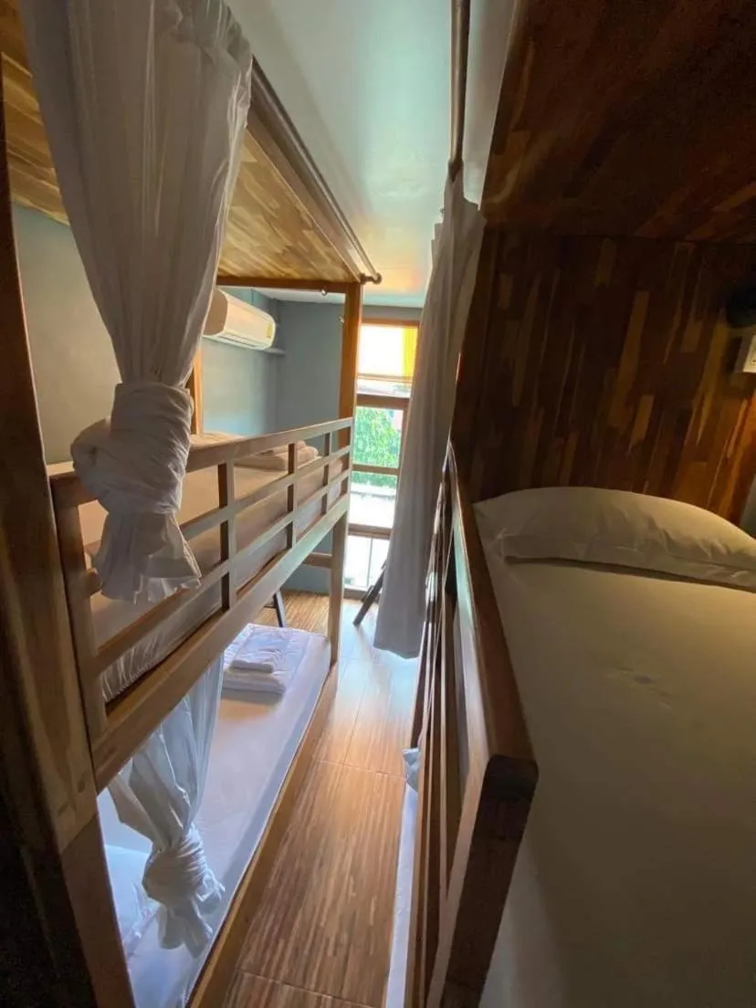 bunk bed, Bed in Bloom Cafe & Hostel