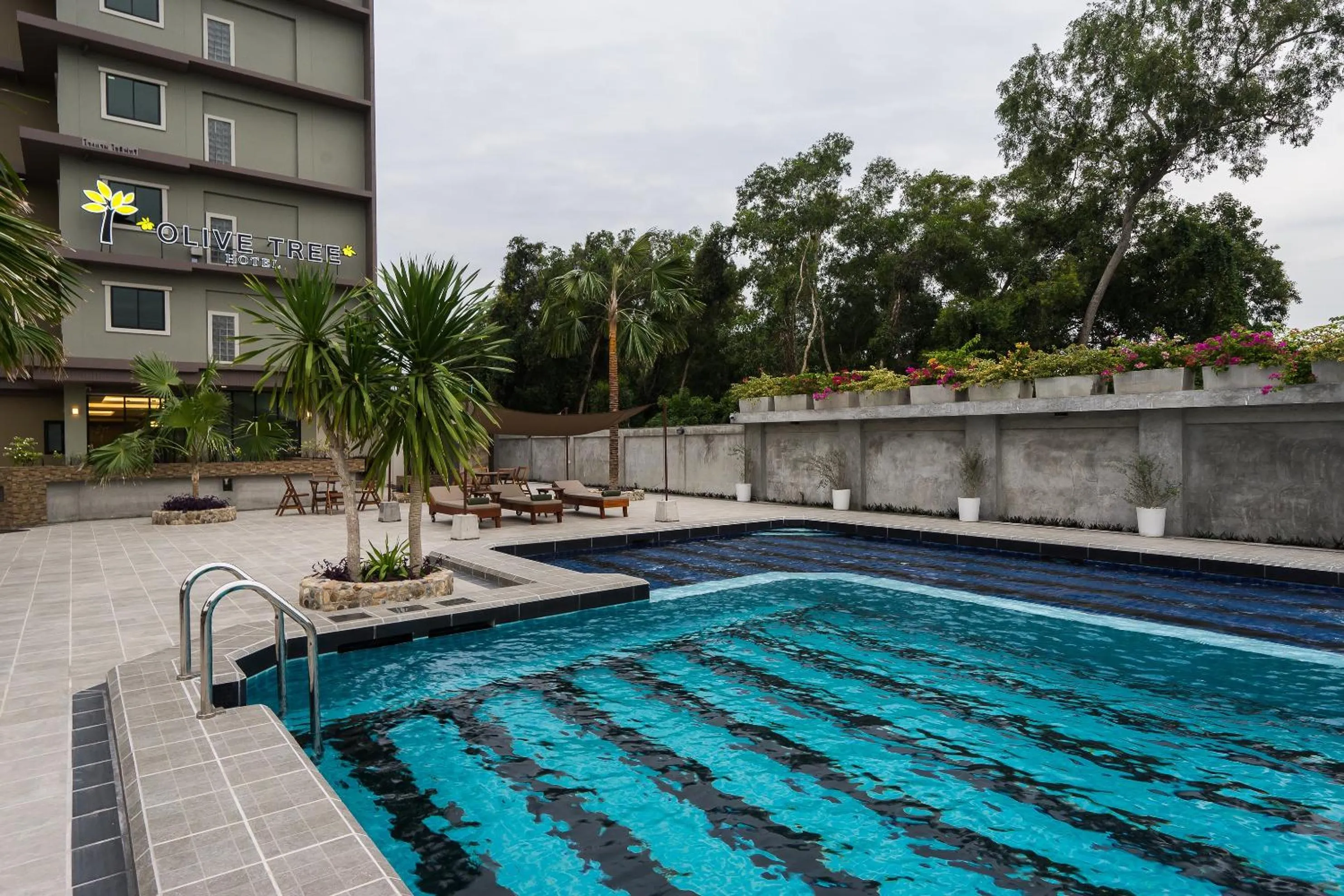 Swimming pool in Olive Tree Hotel Pattaya