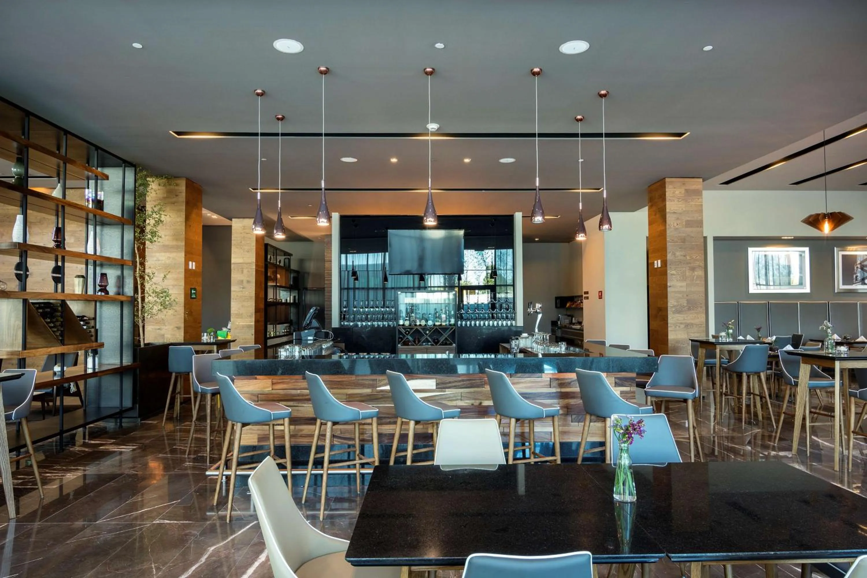 Lounge or bar in Hilton Garden Inn Aguascalientes