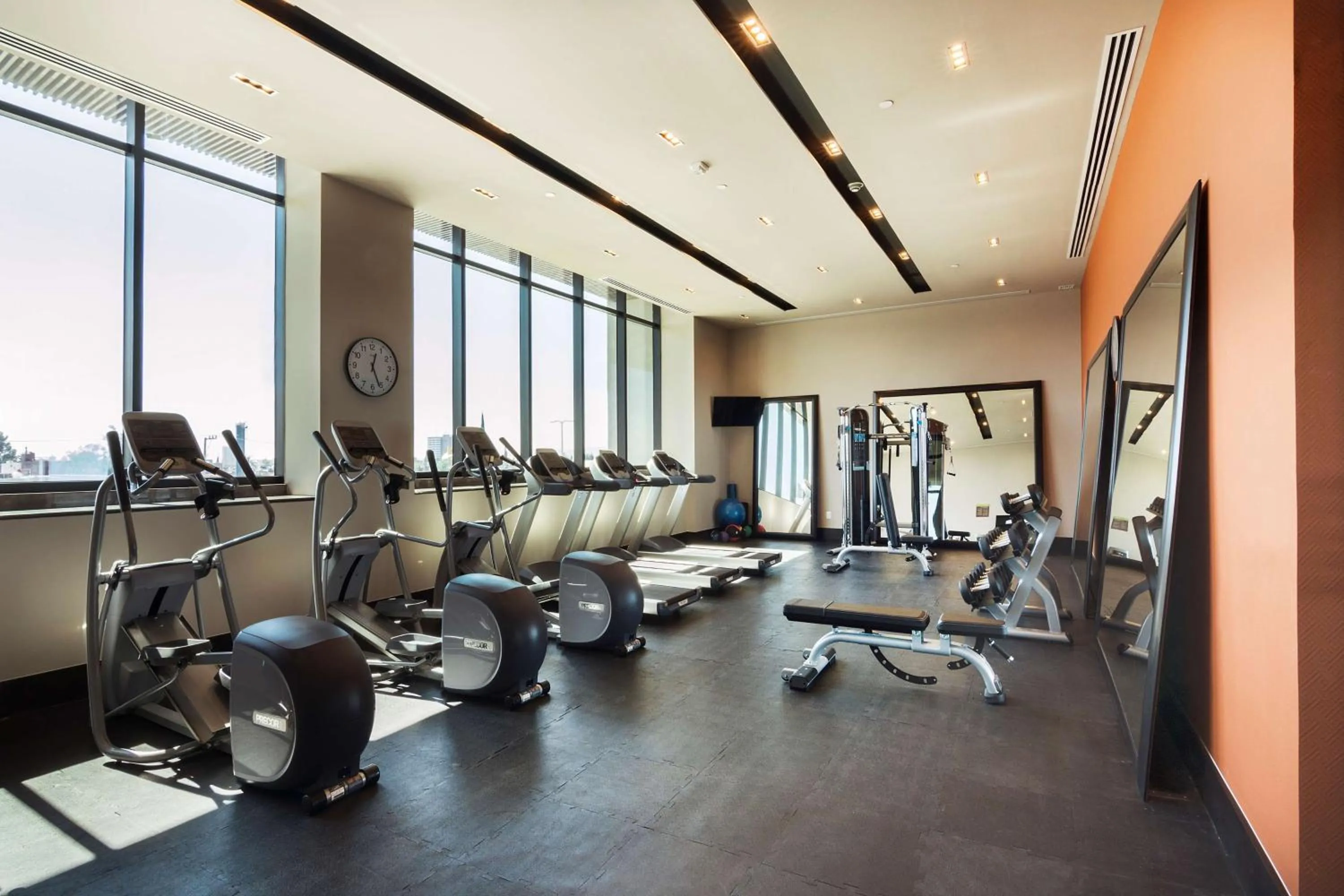 Fitness centre/facilities in Hilton Garden Inn Aguascalientes