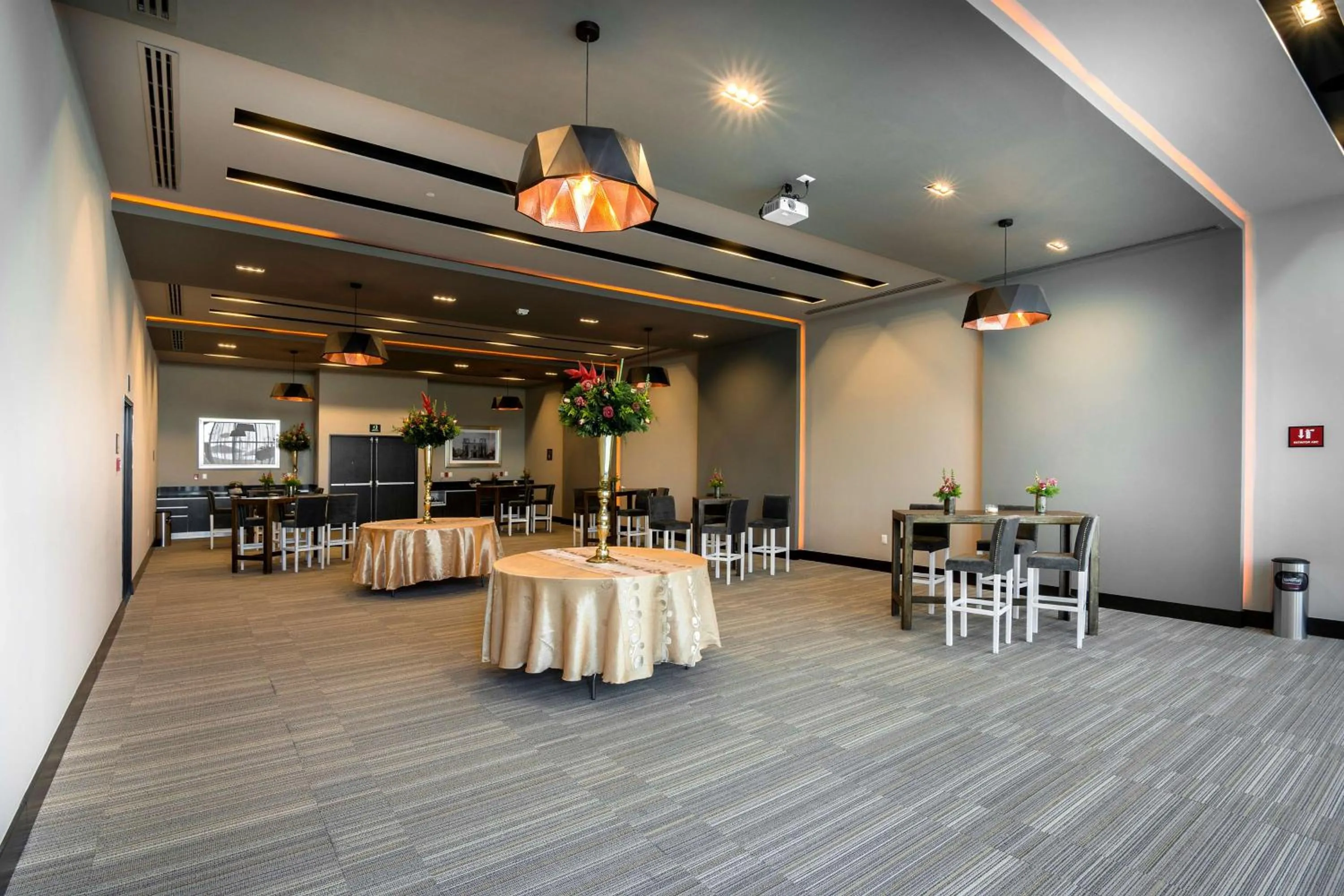 Meeting/conference room in Hilton Garden Inn Aguascalientes