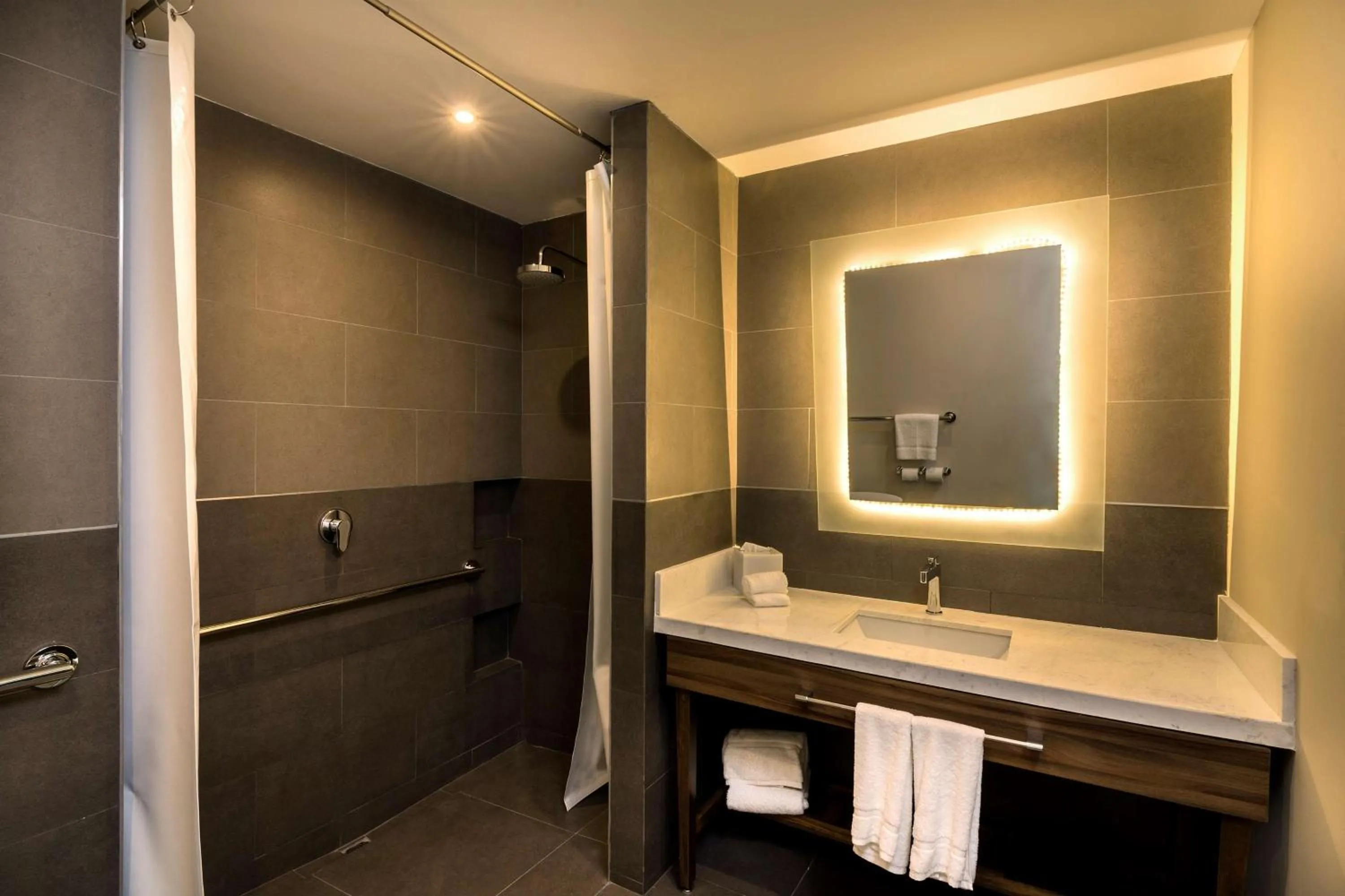 Bathroom in Hilton Garden Inn Aguascalientes