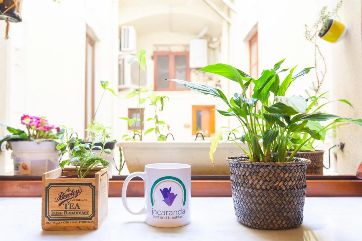 Property building in Jacaranda