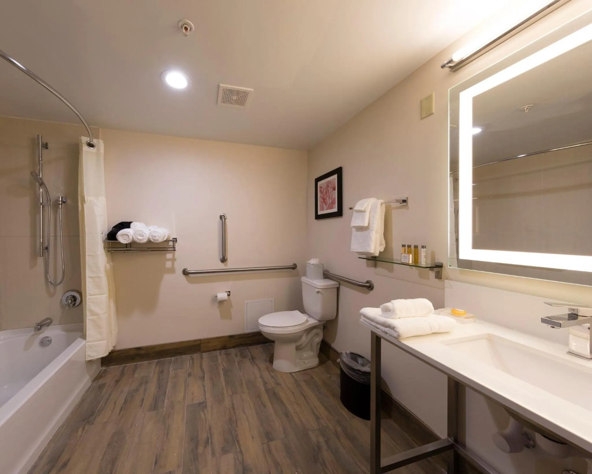 Bathroom in Holiday Inn Brookfield - Milwaukee by IHG
