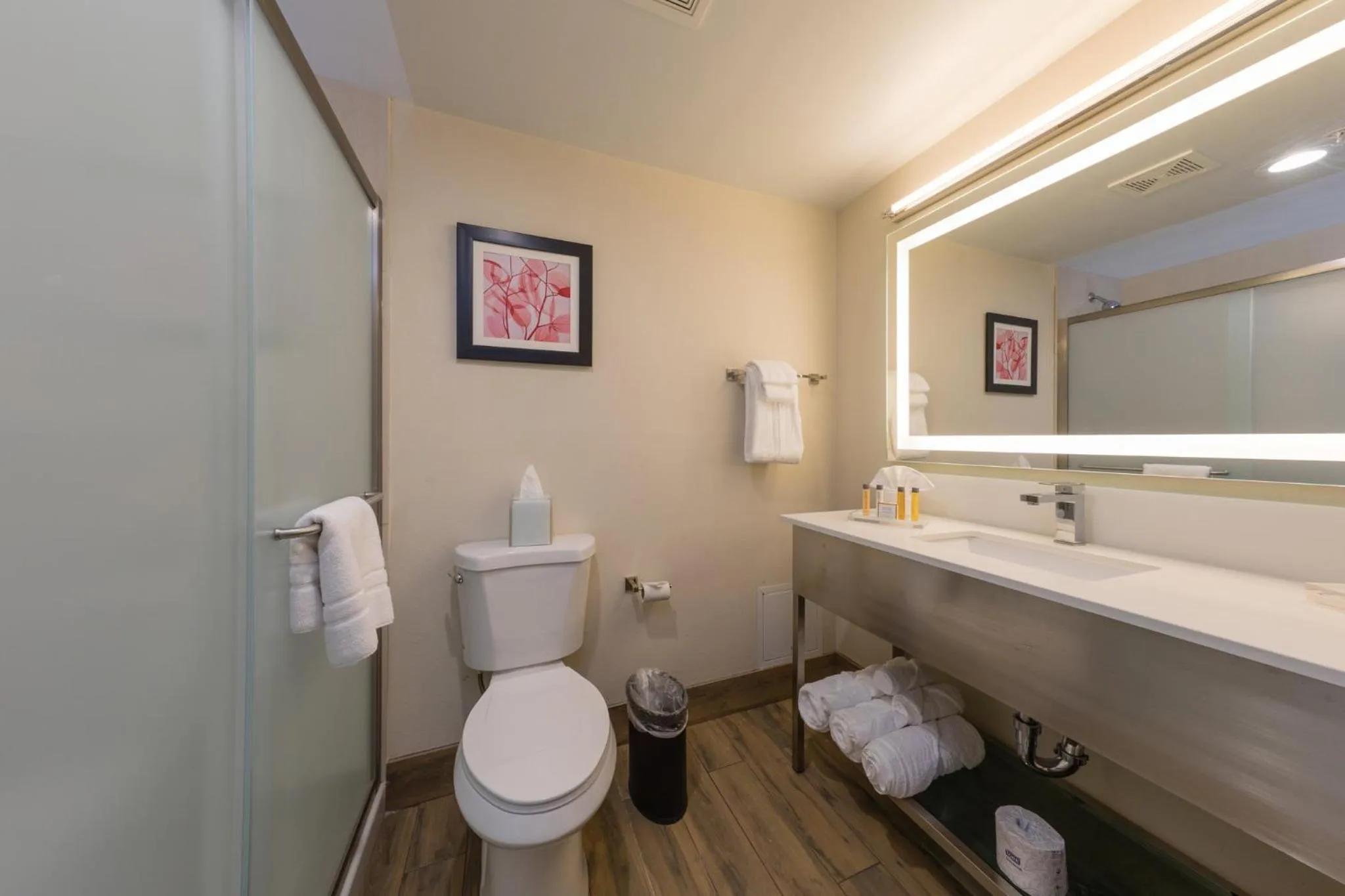 Bathroom in Holiday Inn Brookfield - Milwaukee by IHG