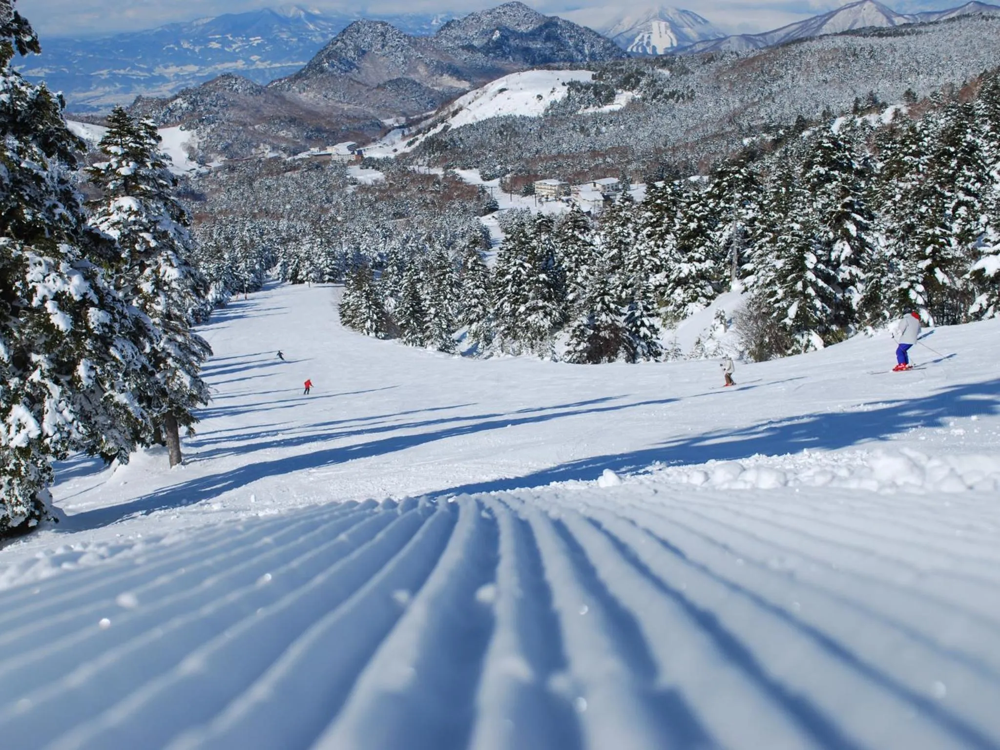 Nearby landmark in Hotel Tsubakino