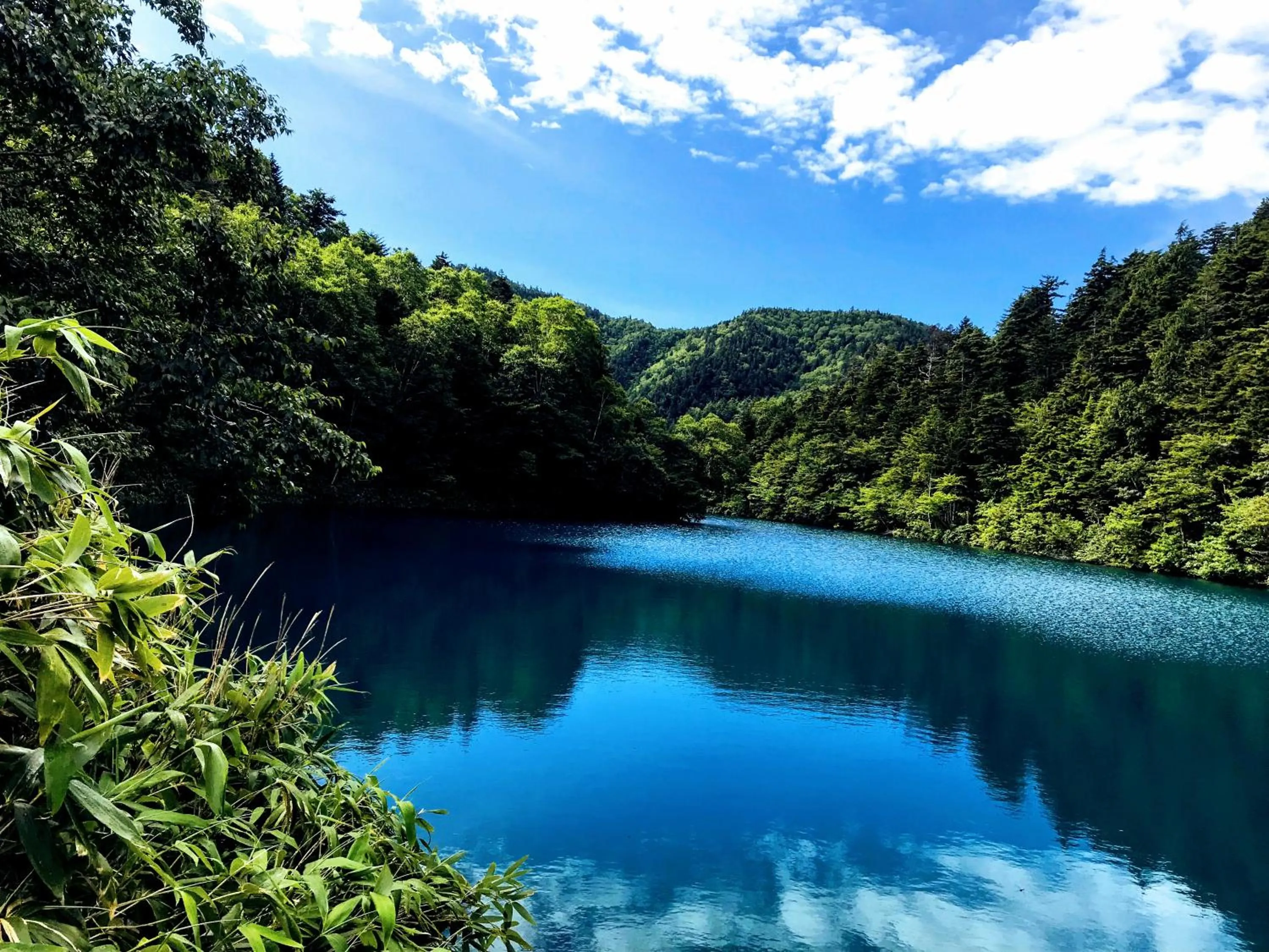 Hiking in Hotel Tsubakino