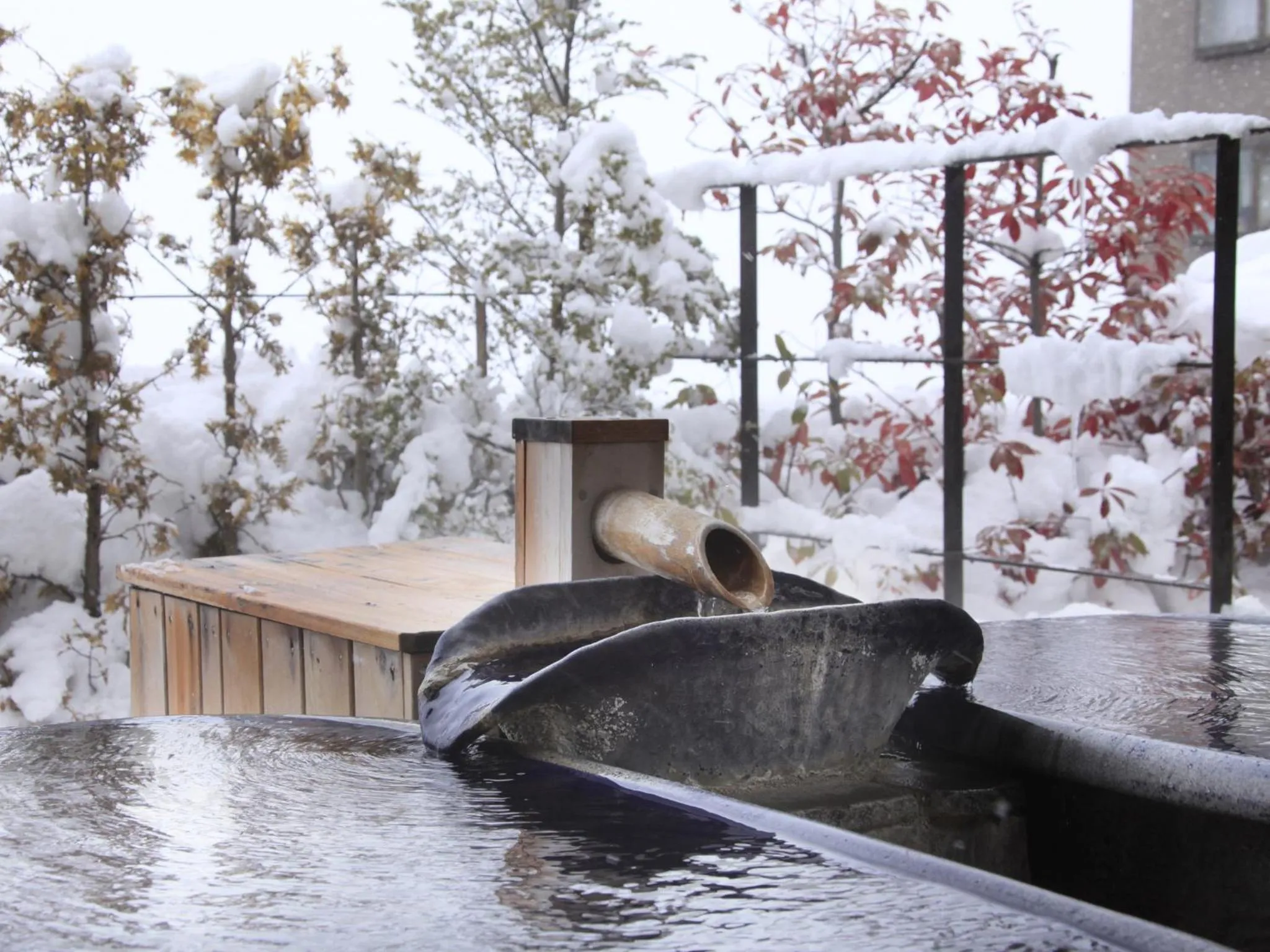 Hot Spring Bath in Hotel Tsubakino
