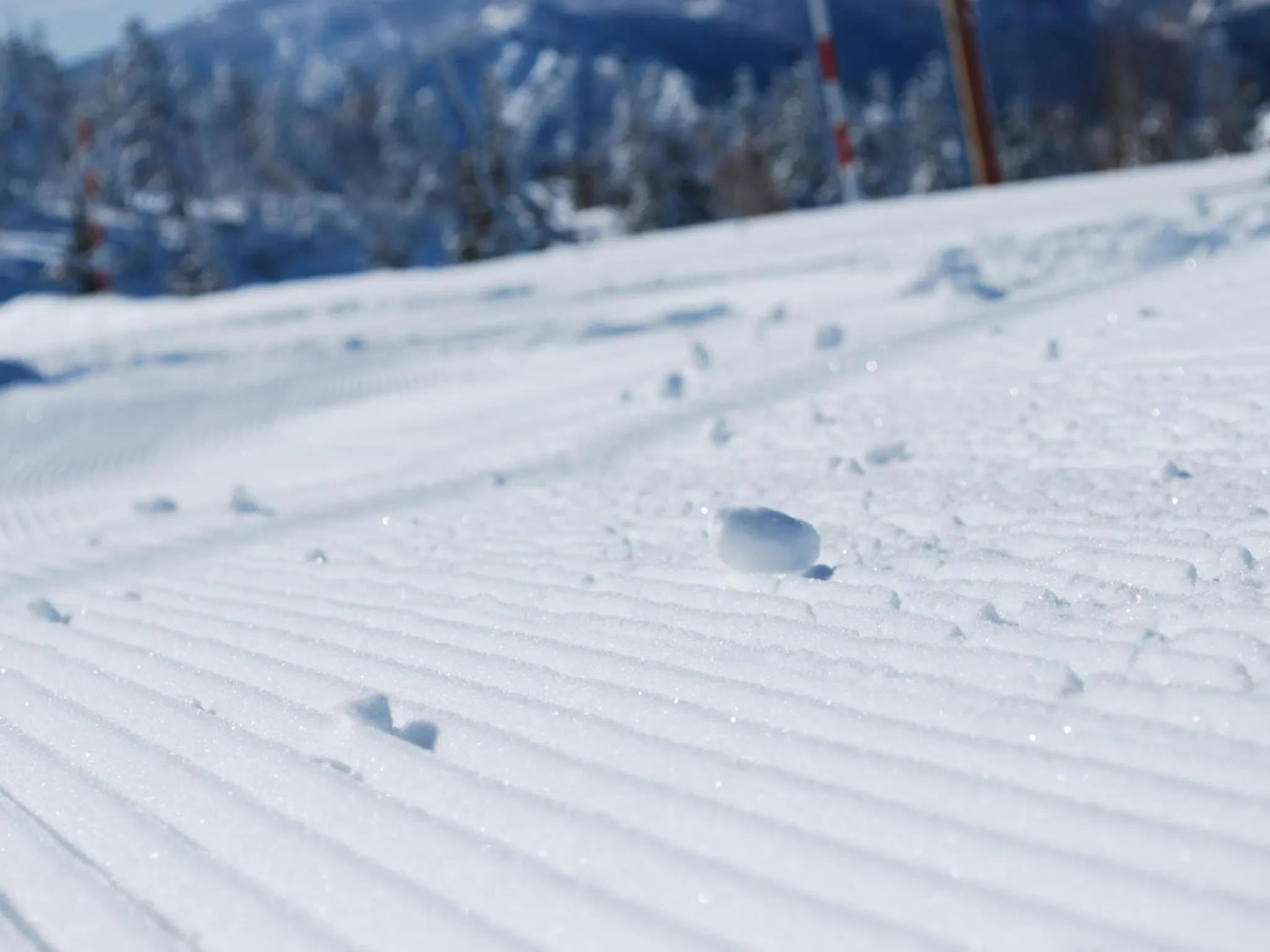 Nearby landmark in Hotel Tsubakino