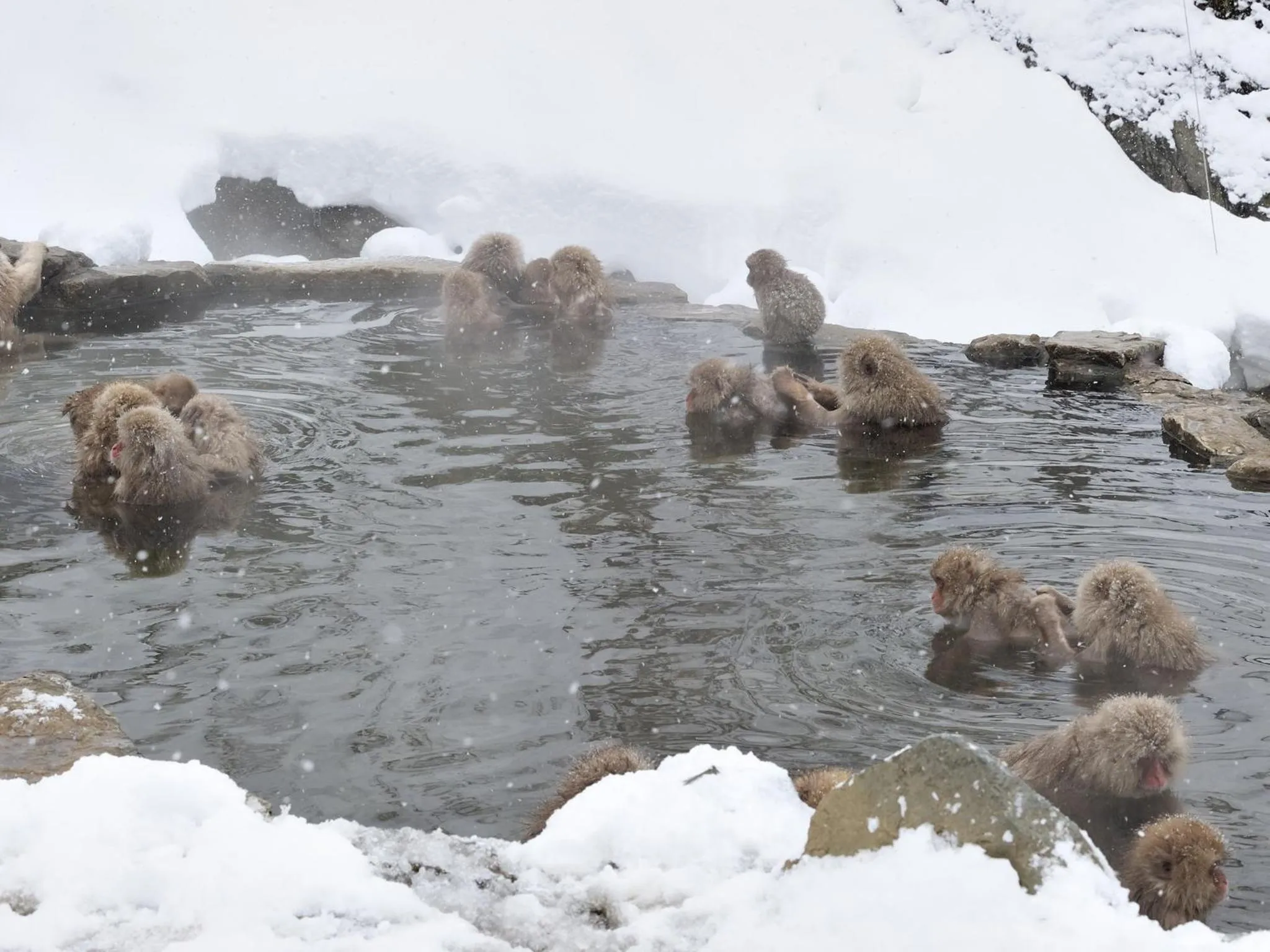 Nearby landmark in Hotel Tsubakino