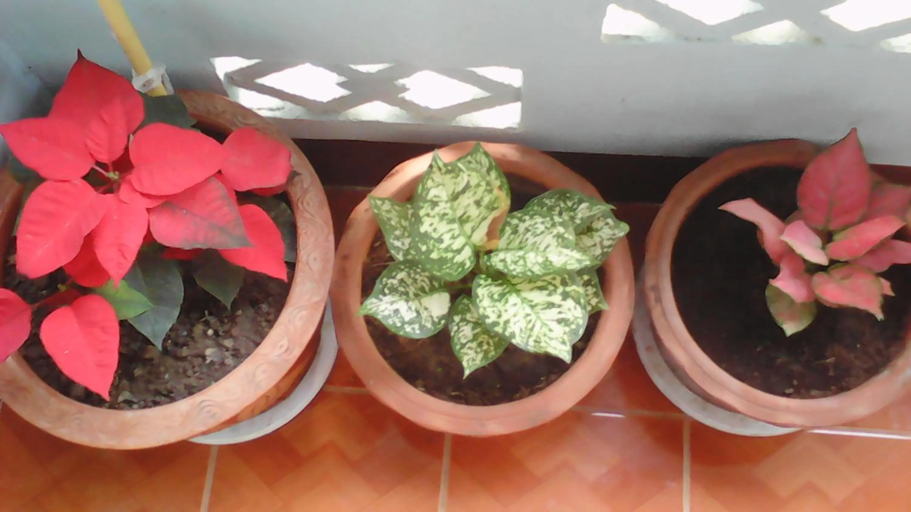 Sabaydee House at Pai