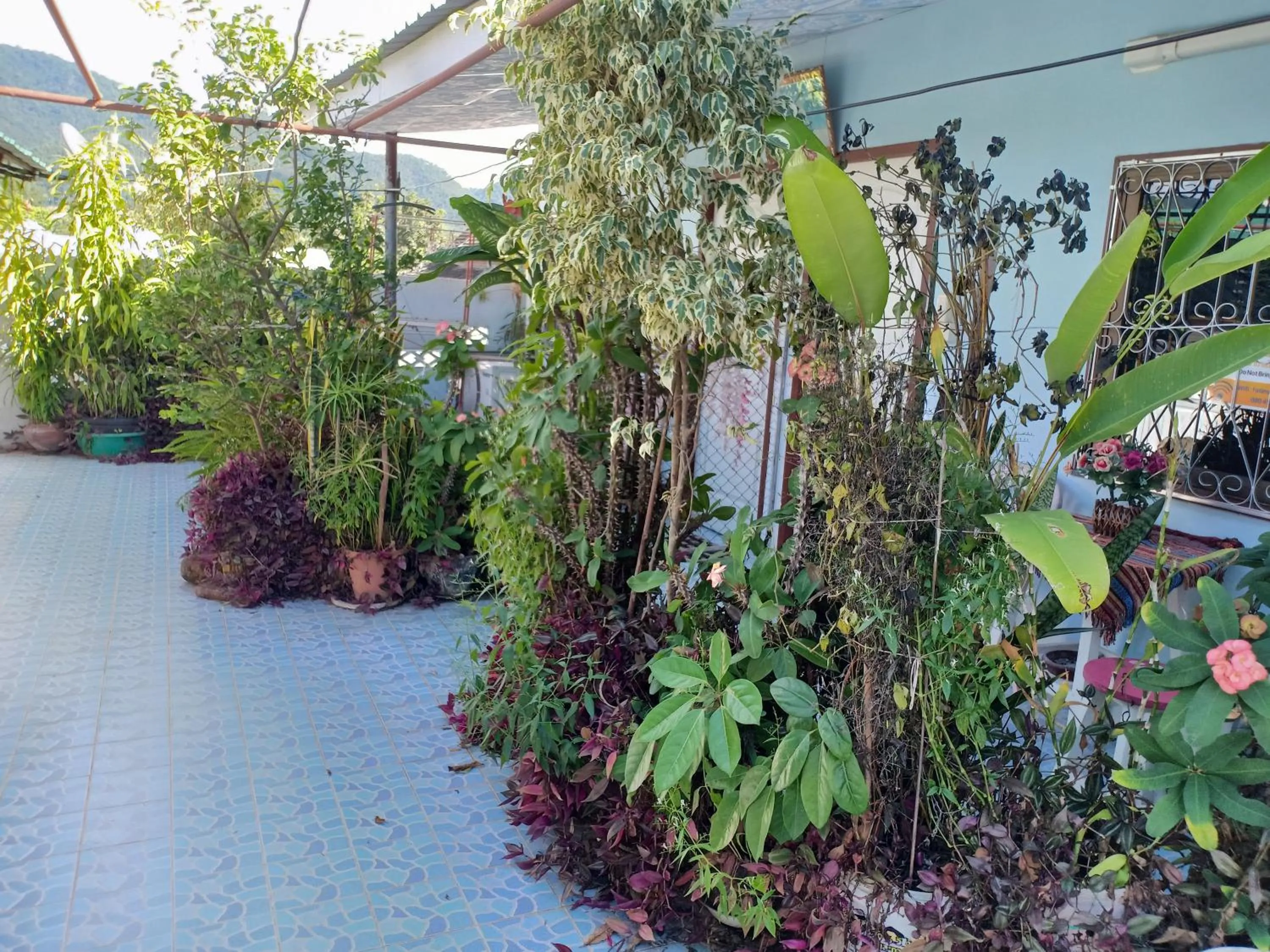 Sabaydee House at Pai