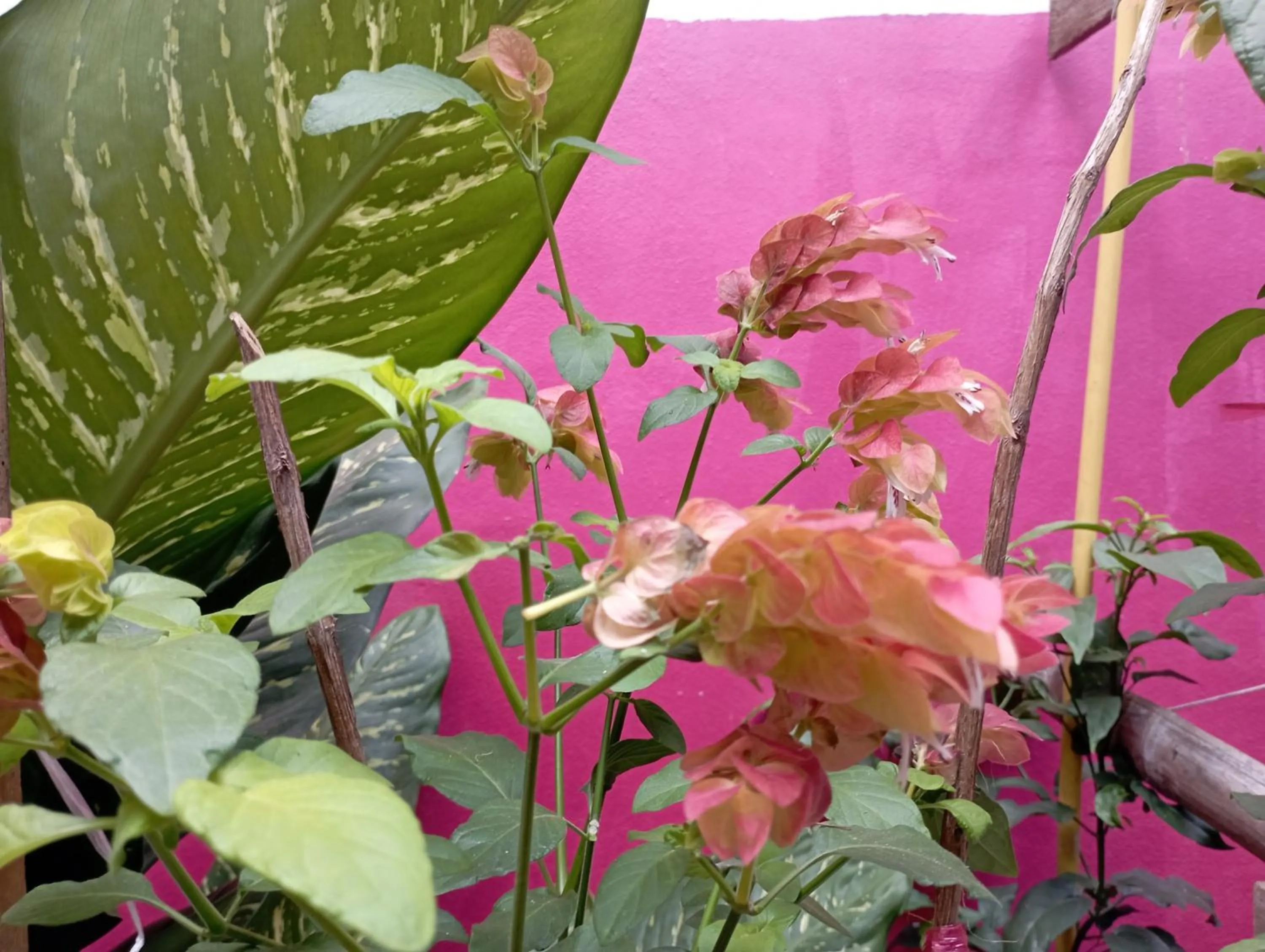 Sabaydee House at Pai