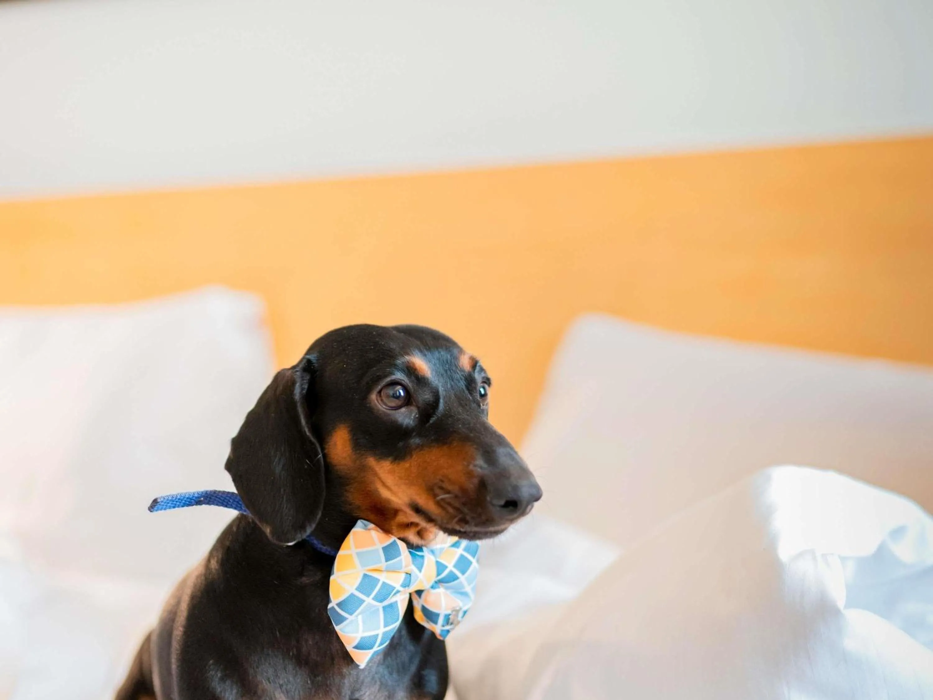 Other, Bed in Ibis Barcelona Centro (Sagrada Familia)