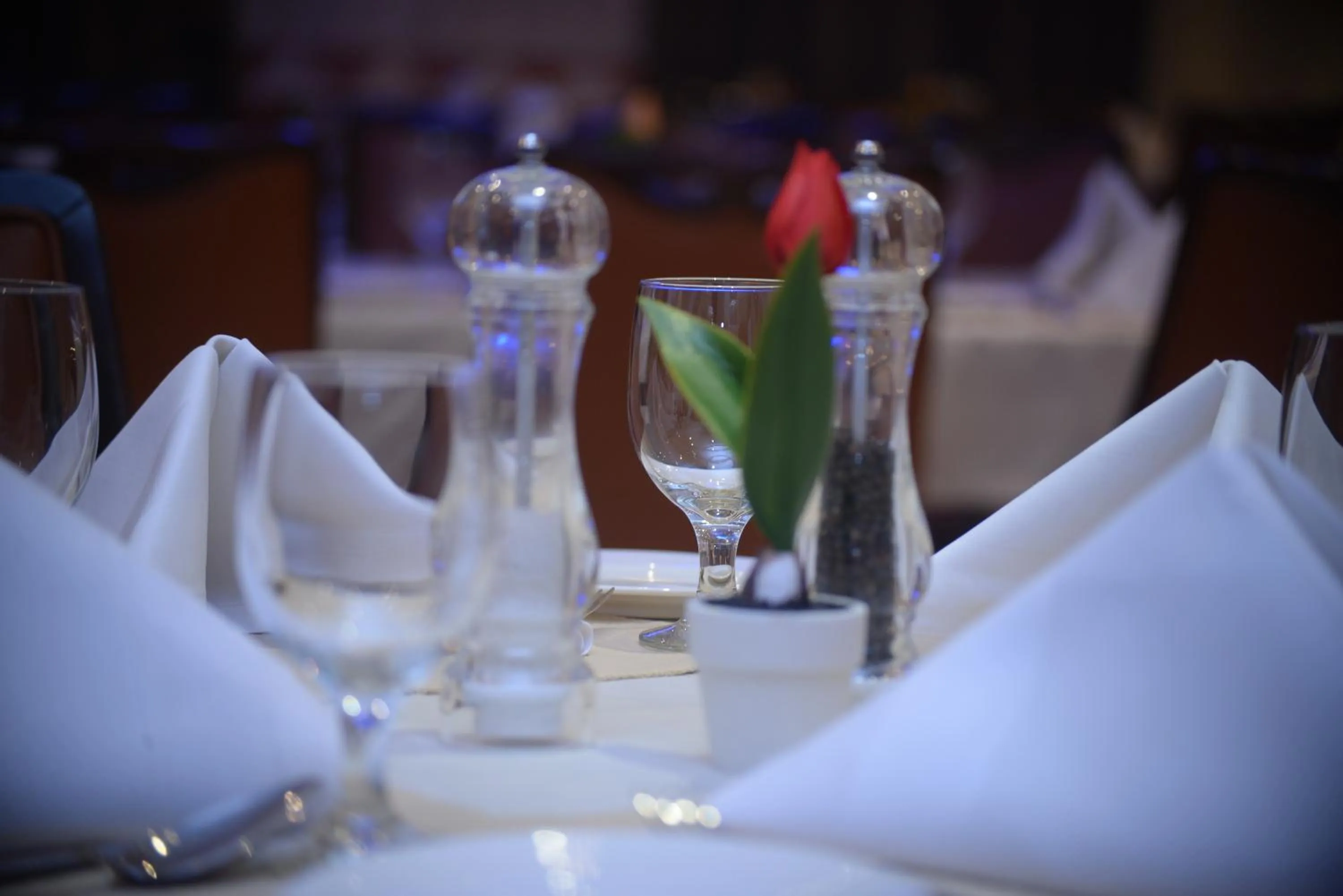 Restaurant/places to eat in Al Madina Suites Doha