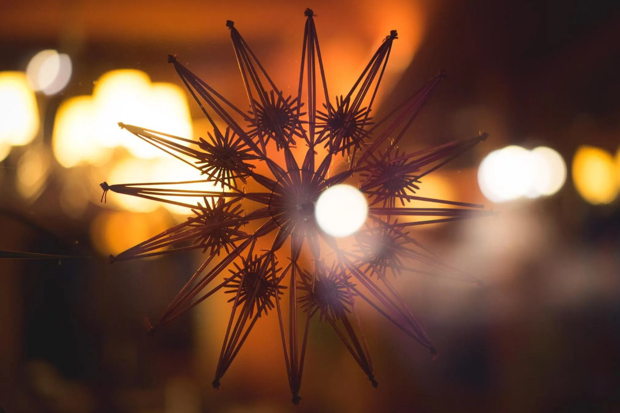 Decorative detail in Apartments Esplanade