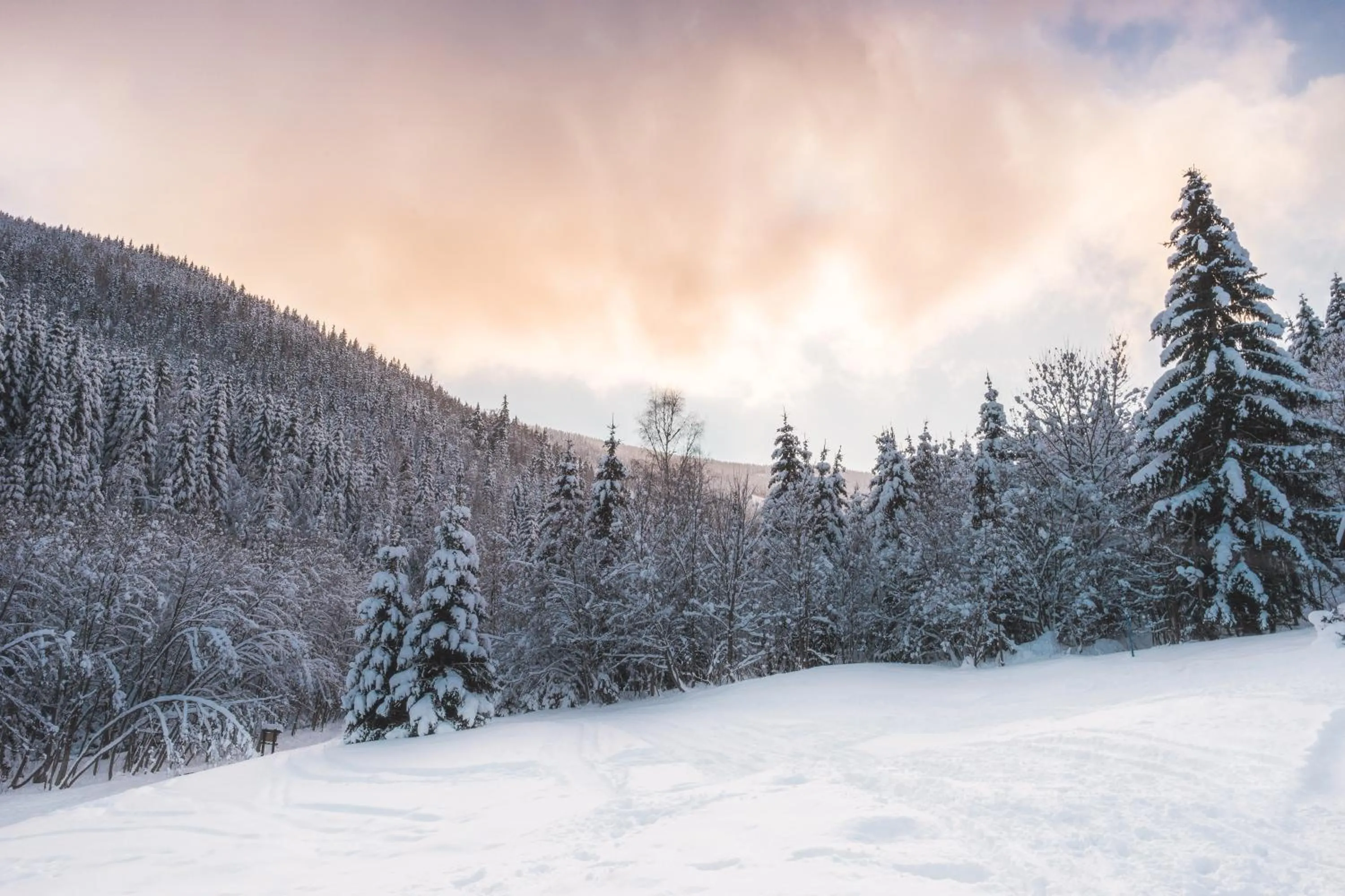 Natural landscape in Aparthotel Pod Plání