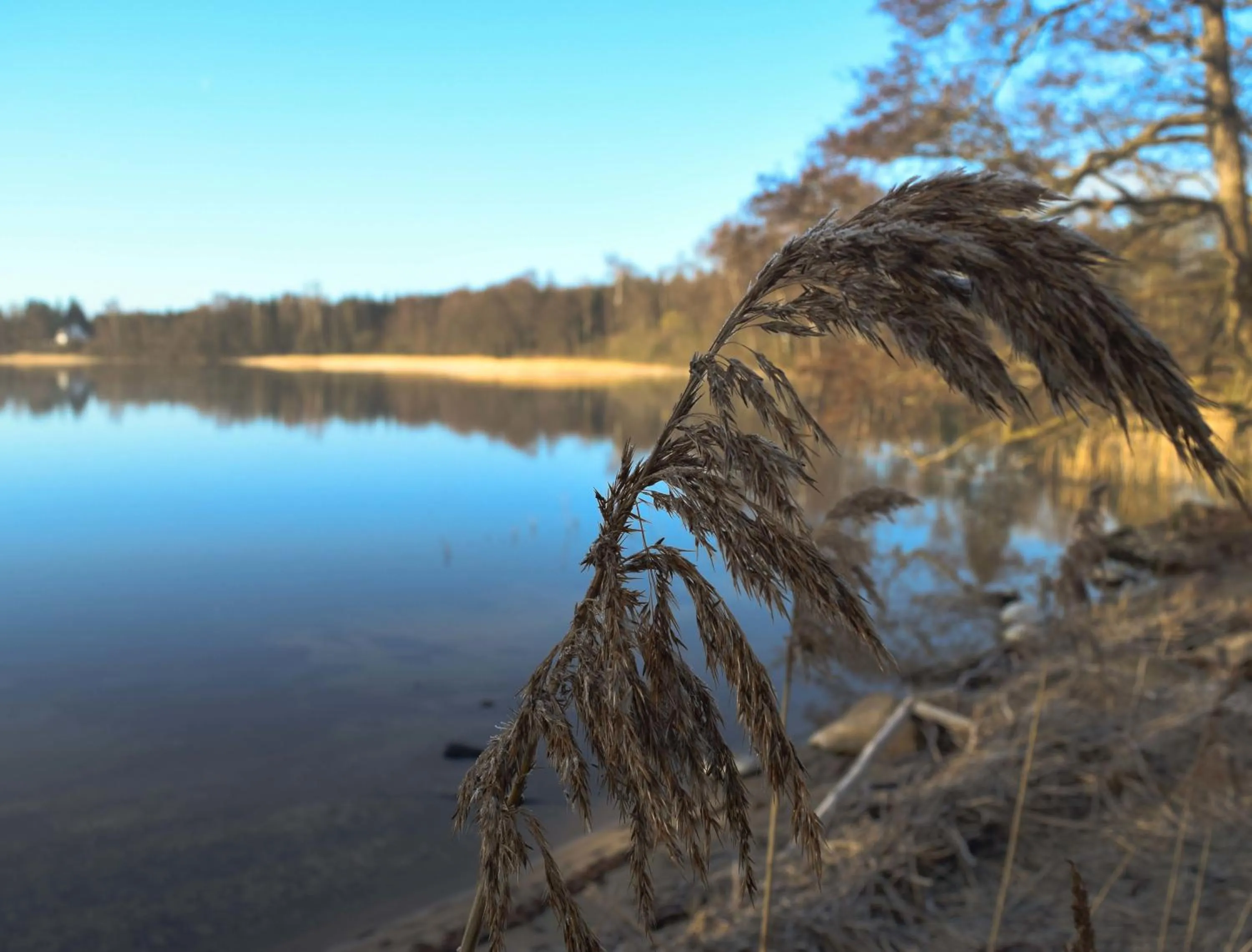 Lake view in Hotel Skanderborghus