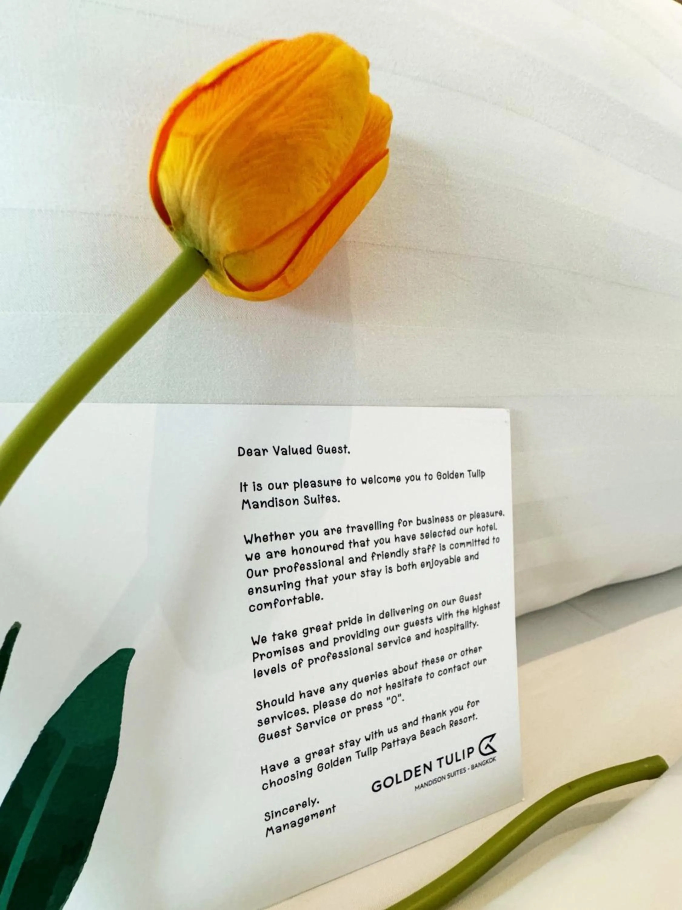 Decorative detail in Golden Tulip Mandison Suites