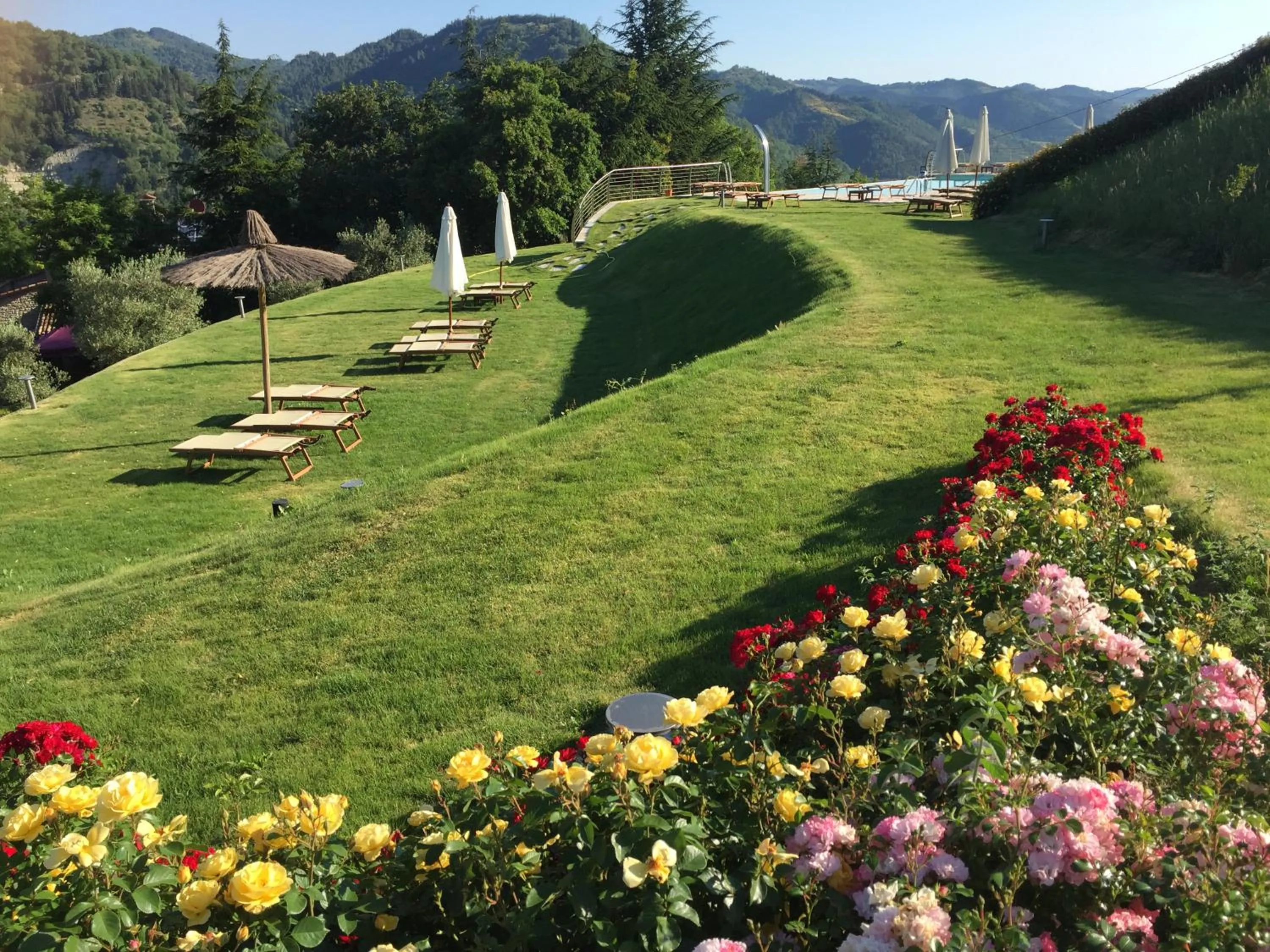 Garden in Agriturismo Corte Dei Mori