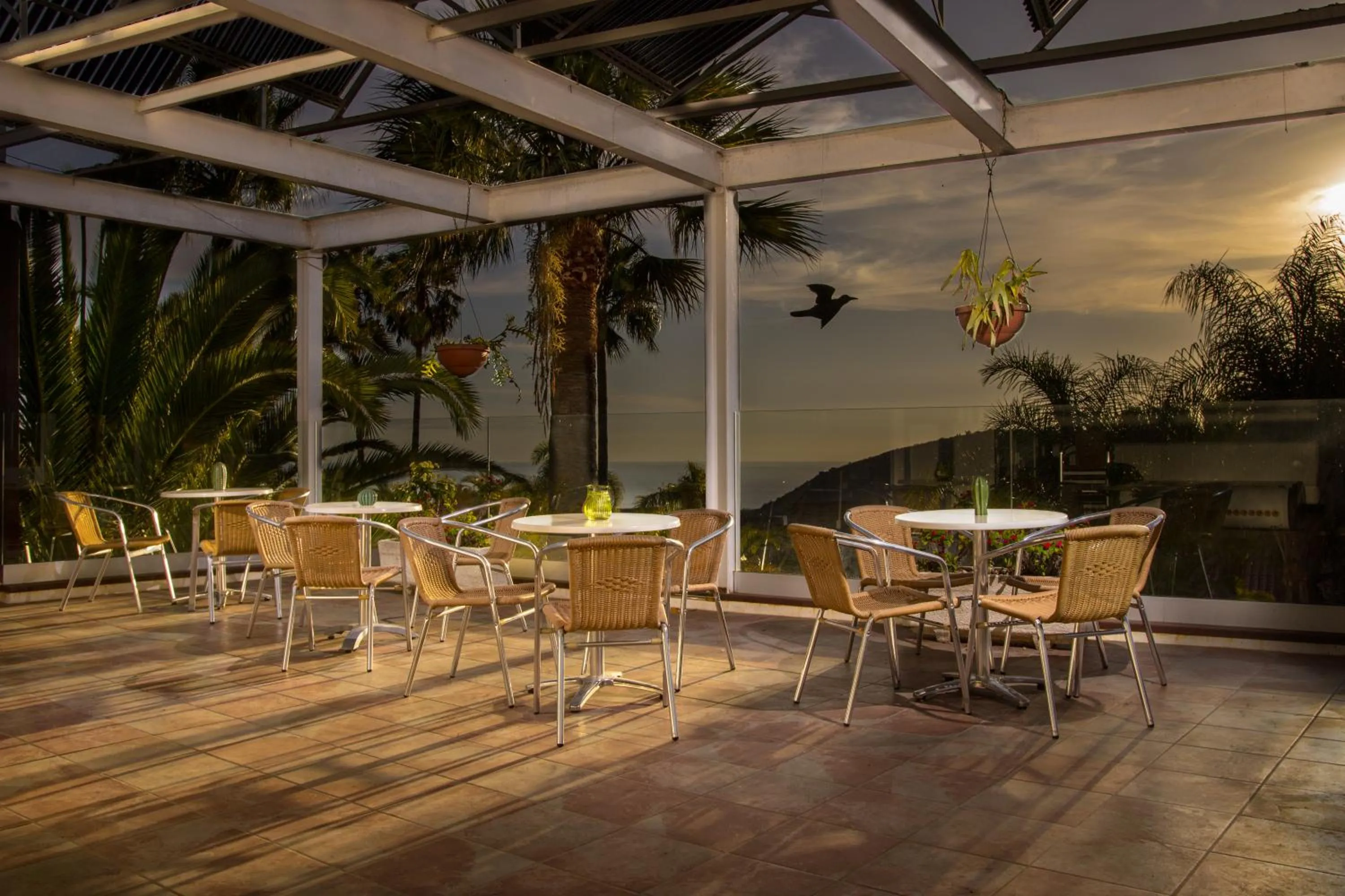 Balcony/Terrace in Apartamentos Adjovimar