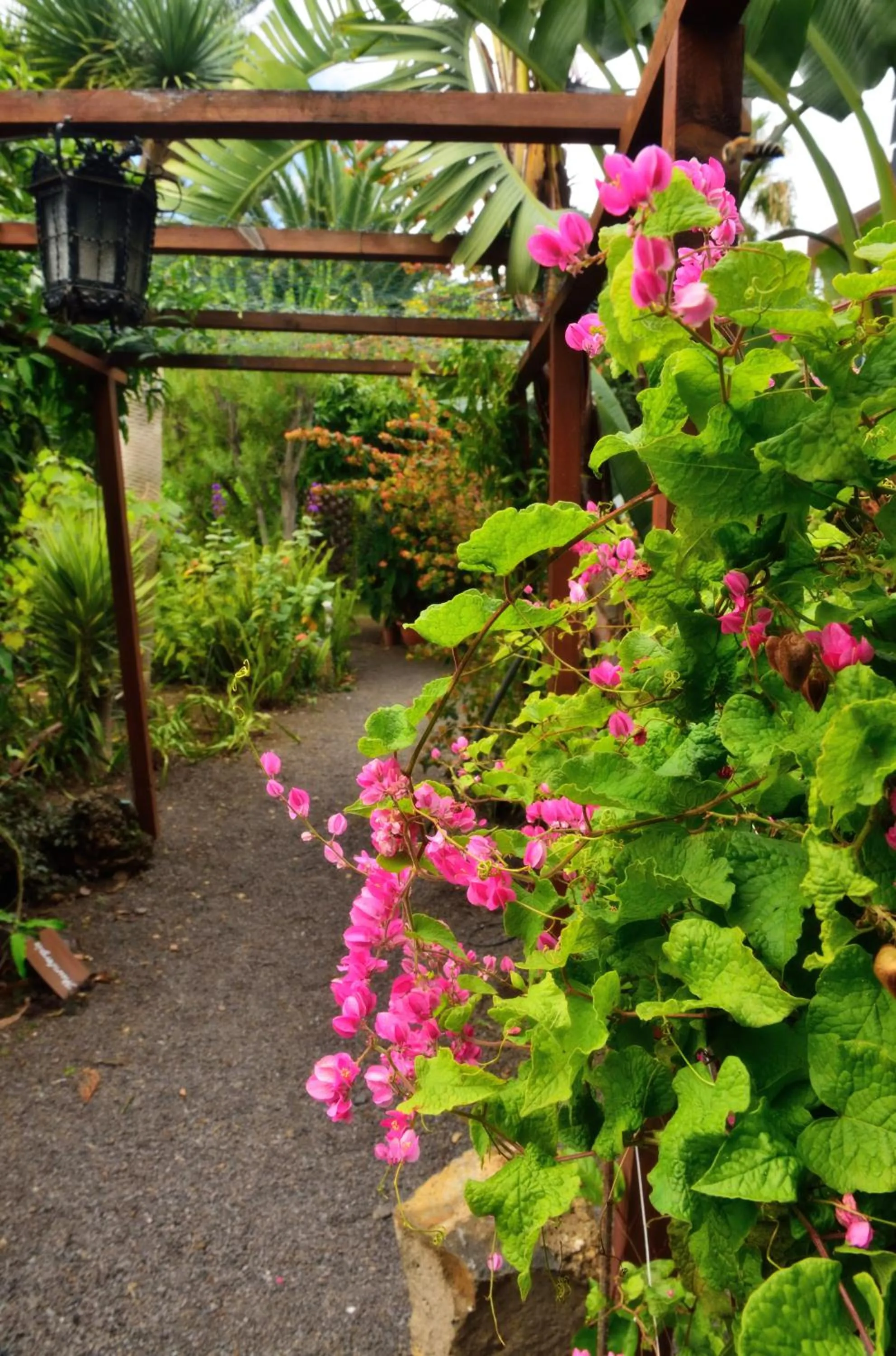 Garden in Apartamentos Adjovimar