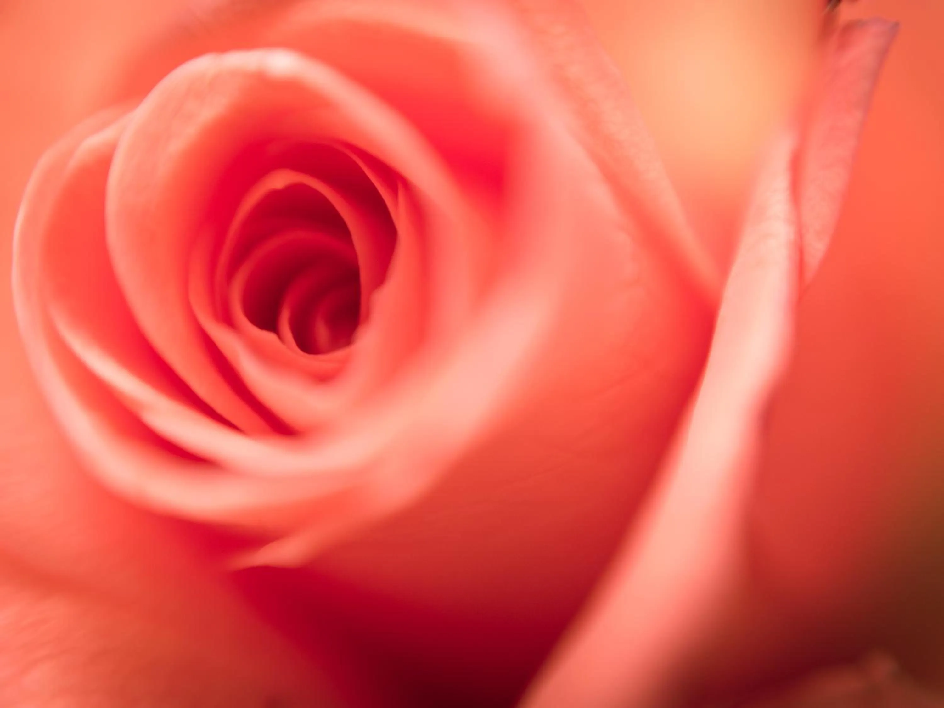 Decorative detail in YHA London Earl's Court