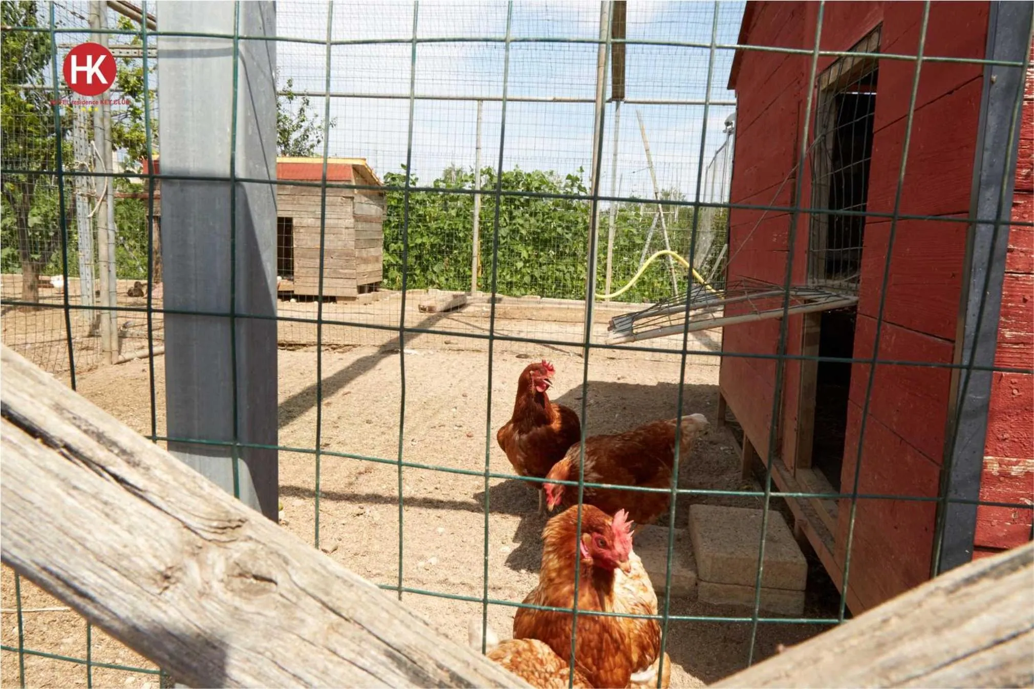 Hotel Residence Key Club