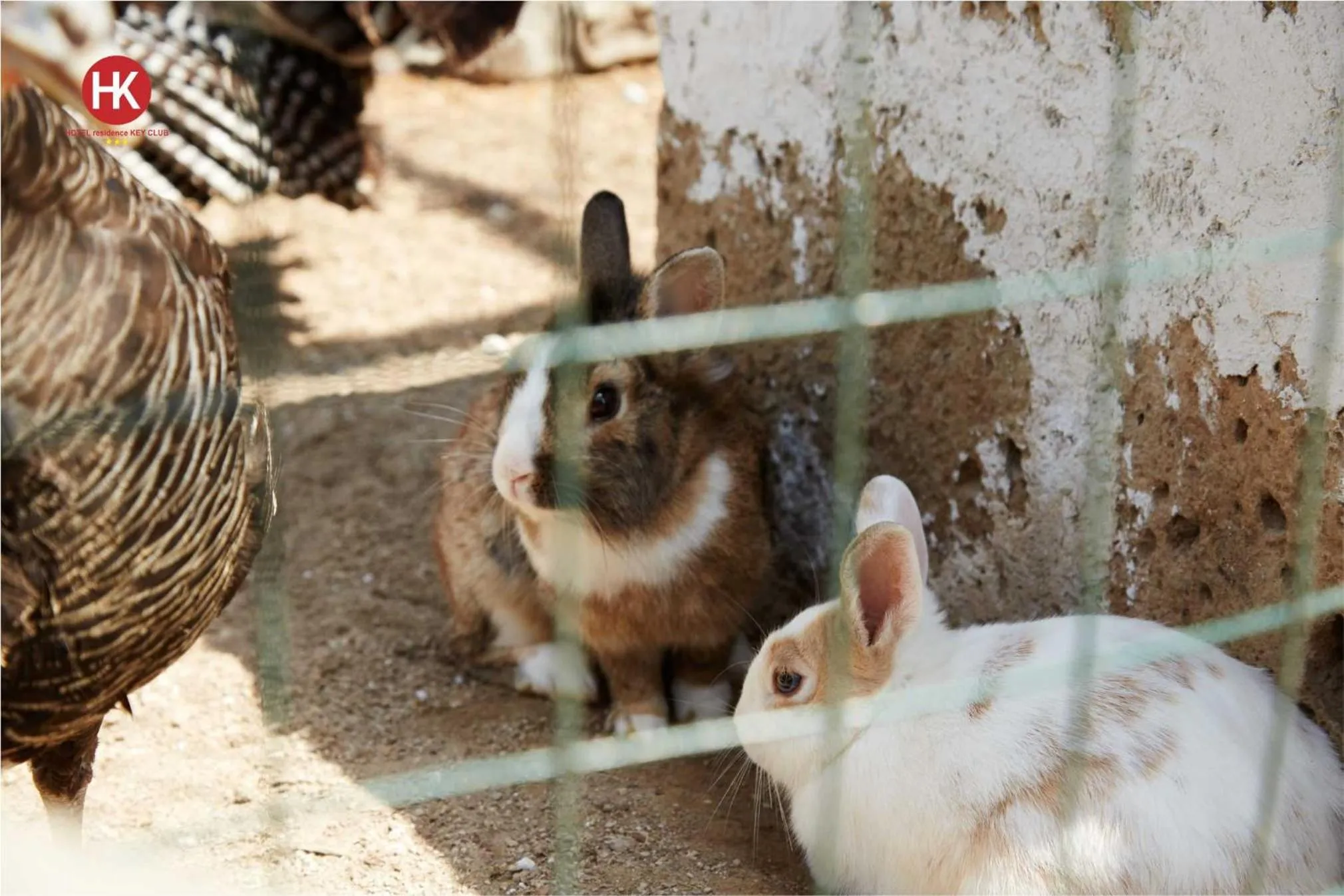 Hotel Residence Key Club