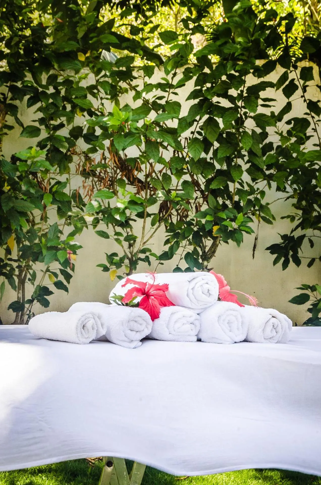 Massage in Sueds Trancoso