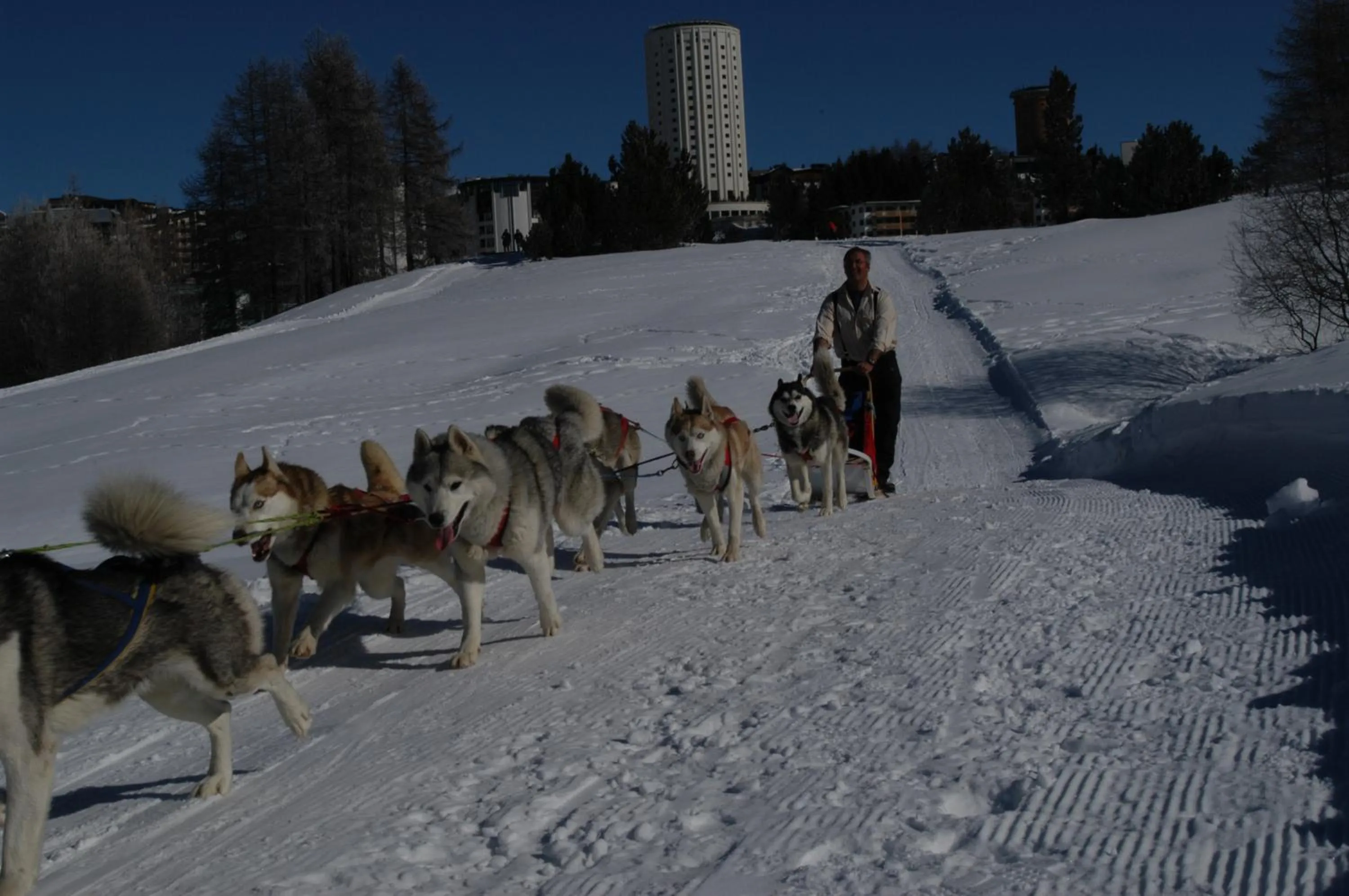 Activities in Shackleton Chalet