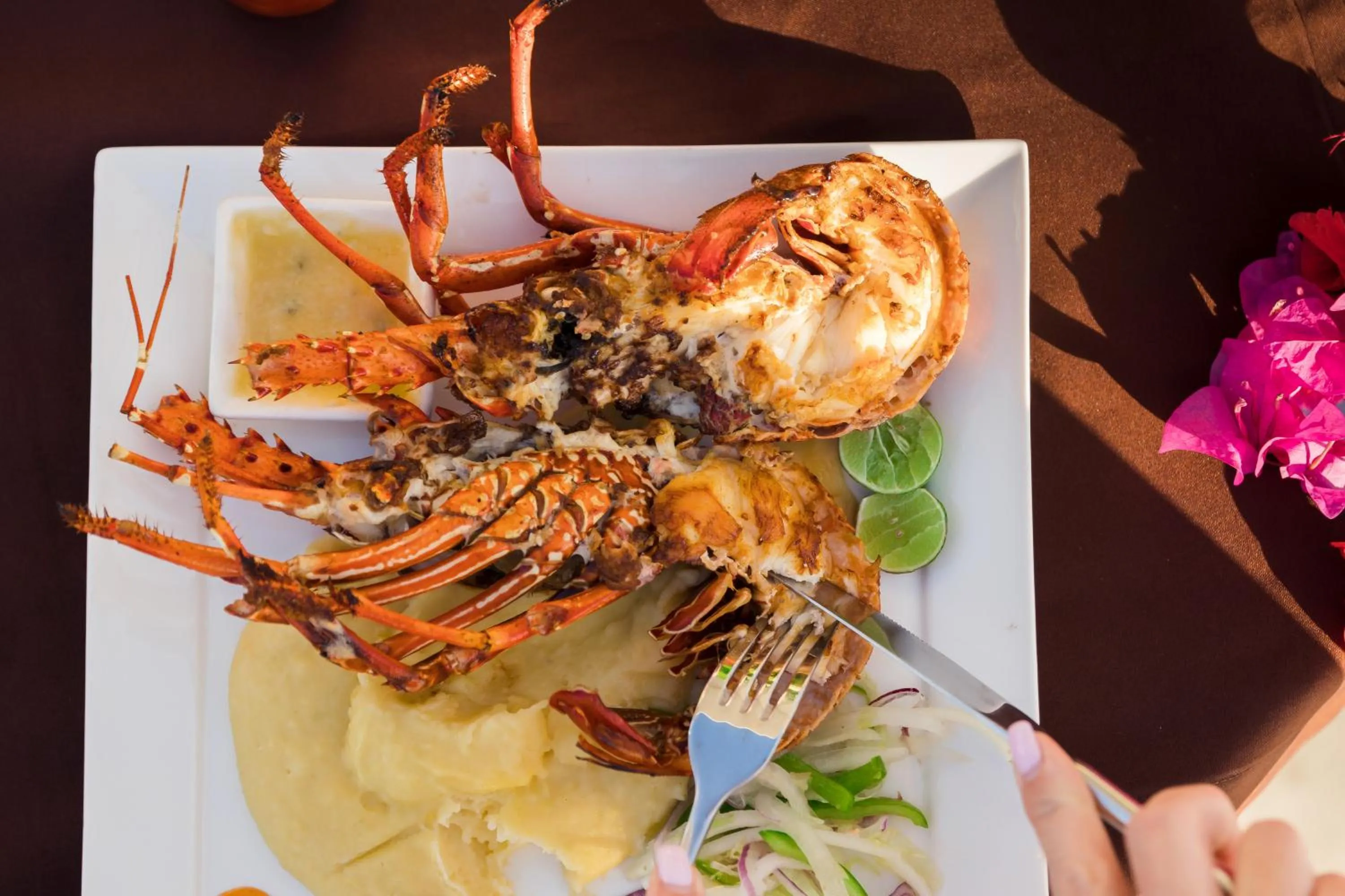 Food and drinks in Blue Moon Resort