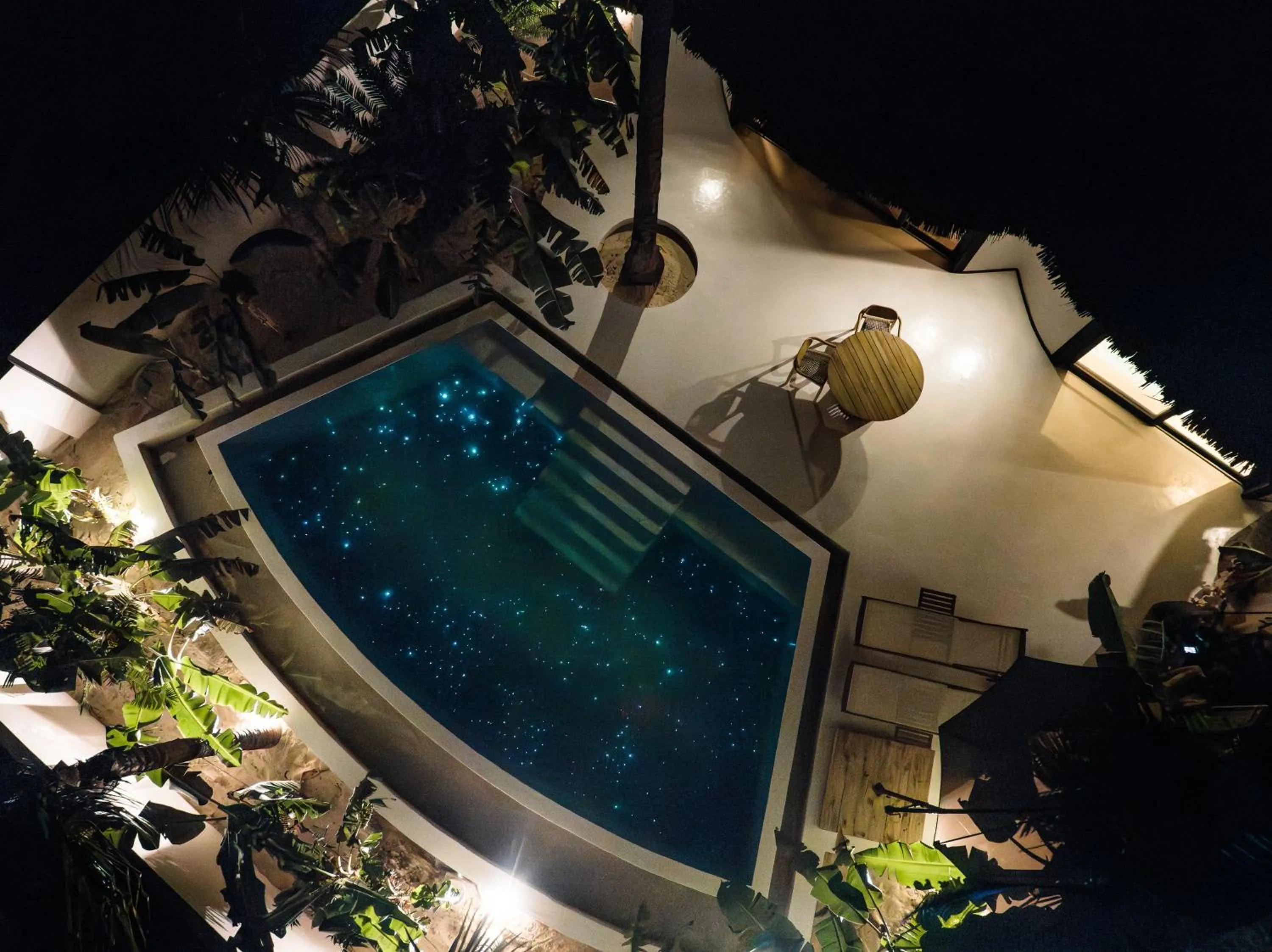 Night in Blue Moon Resort