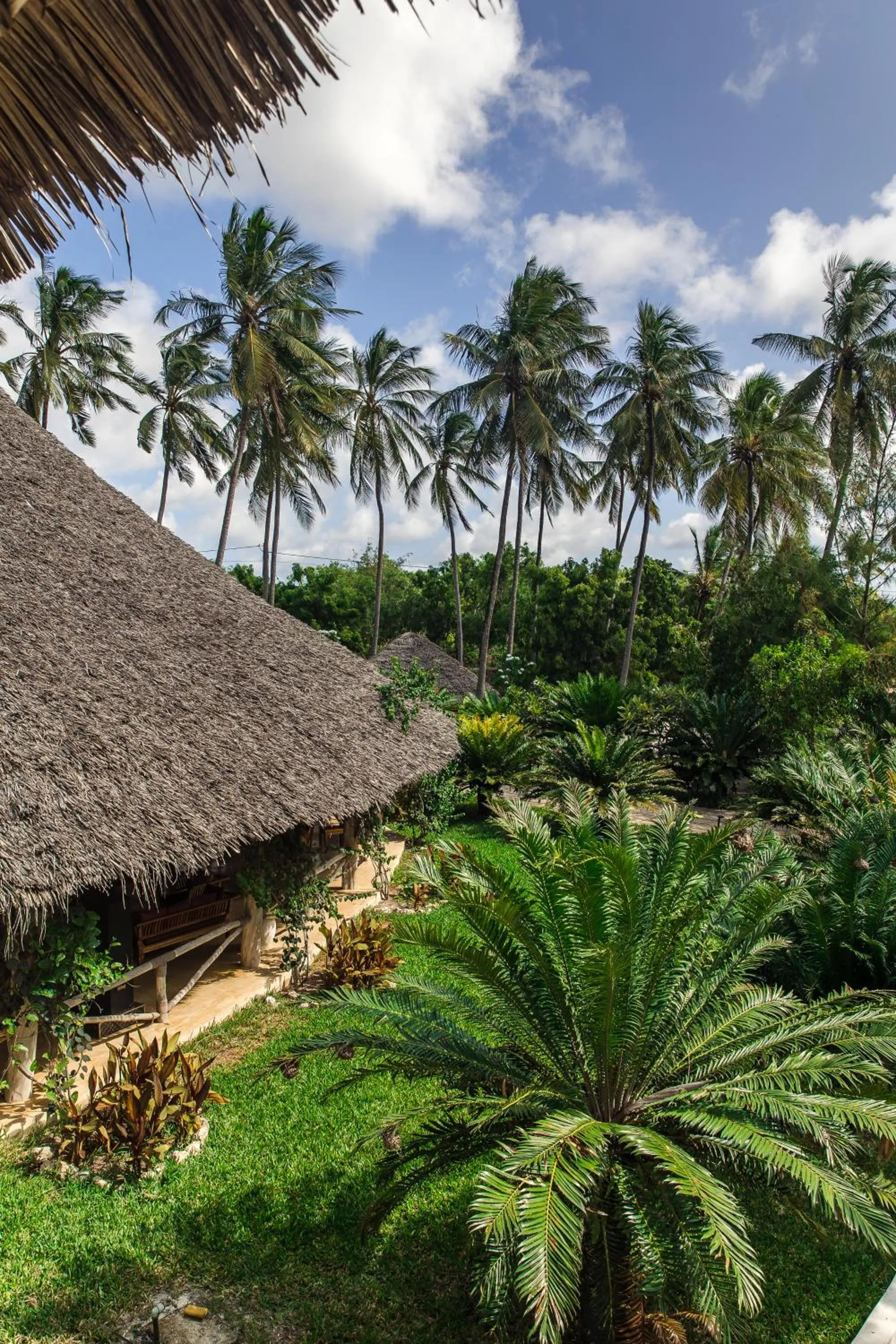 Day in Blue Moon Resort