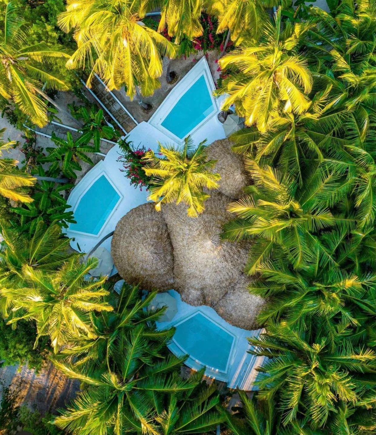 Day in Blue Moon Resort