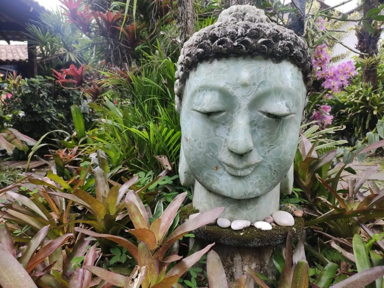 Garden in Eliconial Paraty Pousada