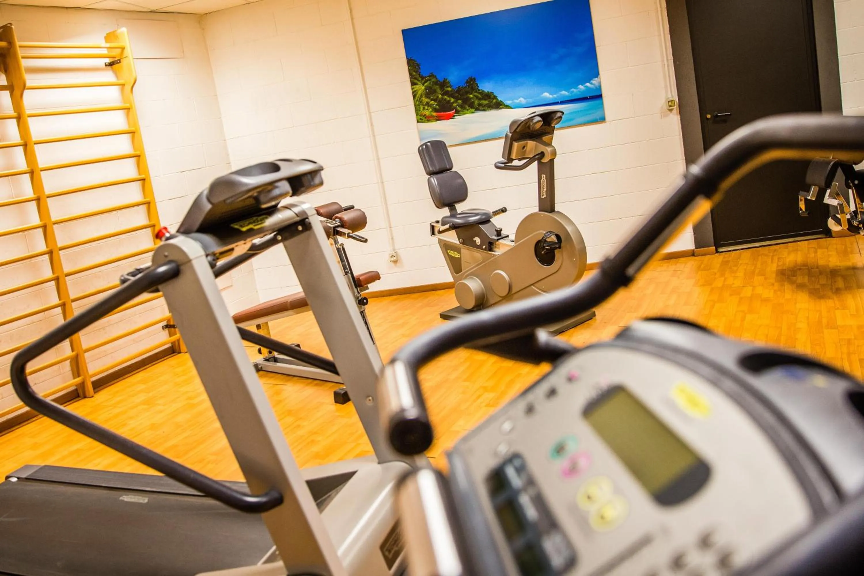 Fitness centre/facilities in Hotel Glis