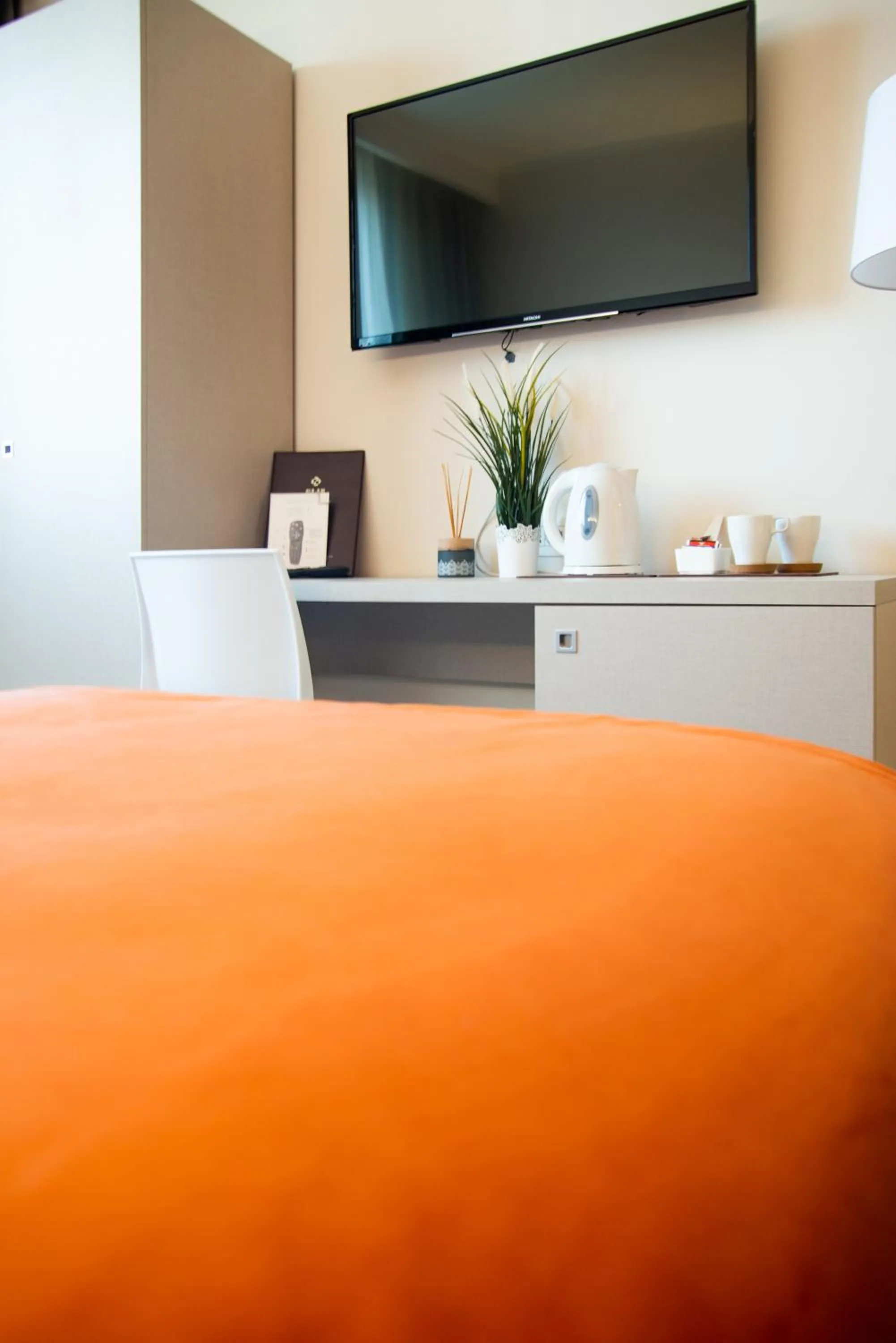 TV and multimedia in Hotel Glis